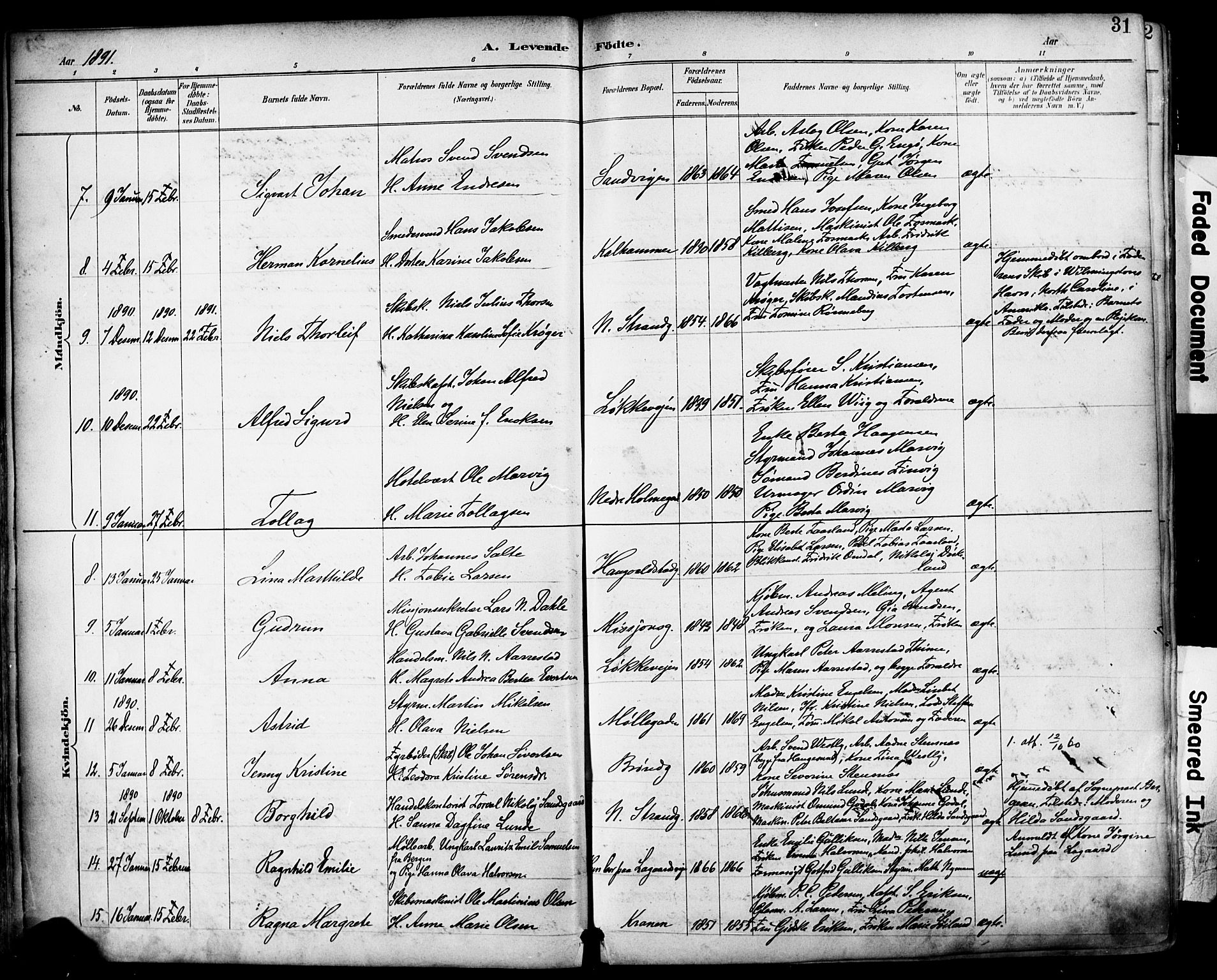 Domkirken sokneprestkontor, SAST/A-101812/001/30/30BA/L0030: Parish register (official) no. A 29, 1889-1902, p. 31