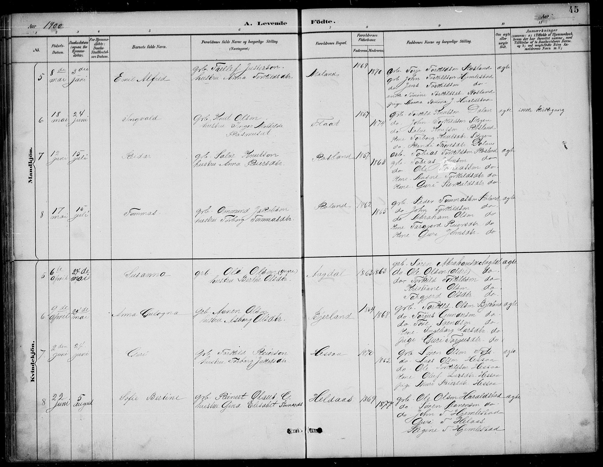 Bjelland sokneprestkontor, AV/SAK-1111-0005/F/Fb/Fba/L0005: Parish register (copy) no. B 5, 1887-1923, p. 45