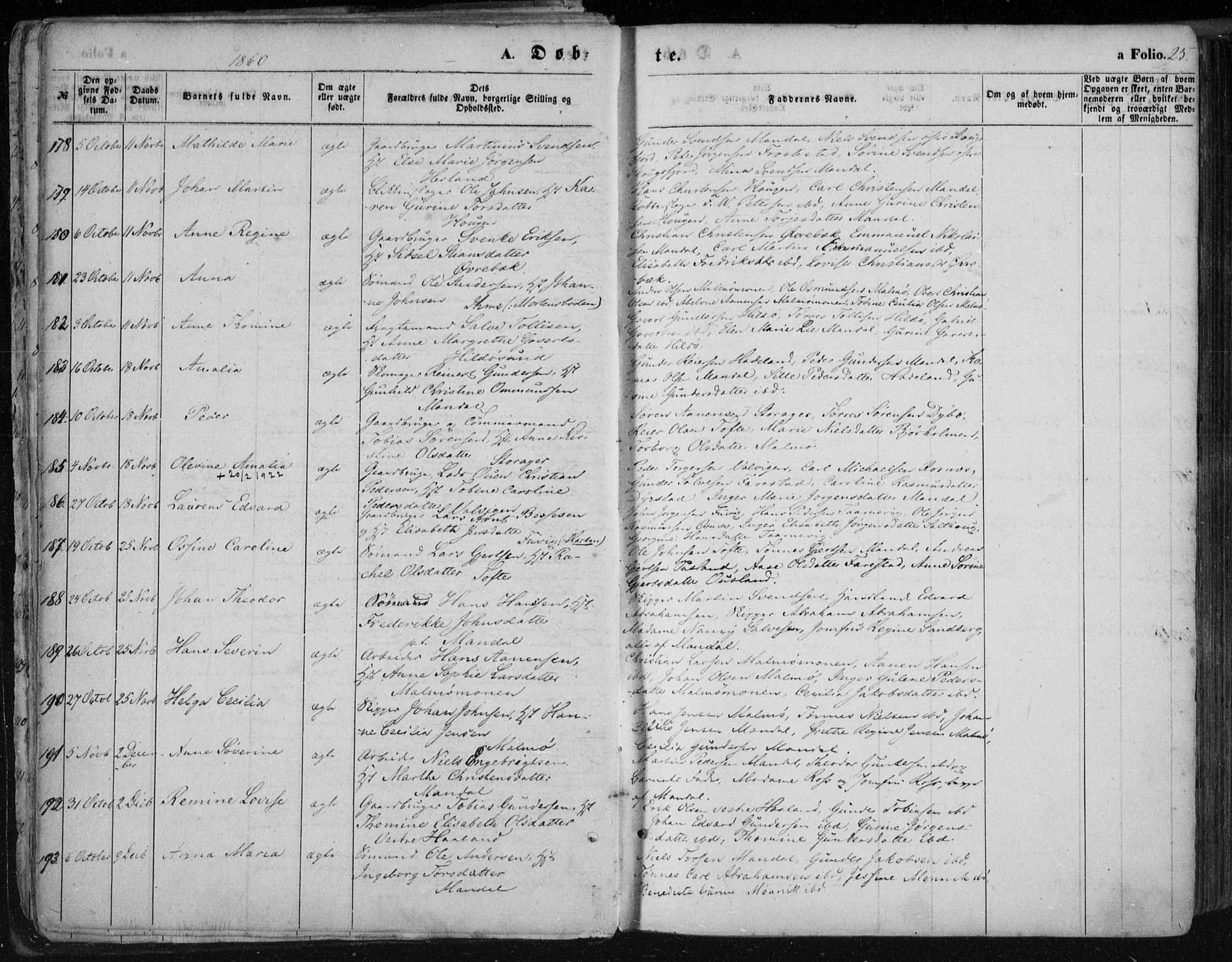 Mandal sokneprestkontor, AV/SAK-1111-0030/F/Fa/Faa/L0014: Parish register (official) no. A 14, 1859-1872, p. 25