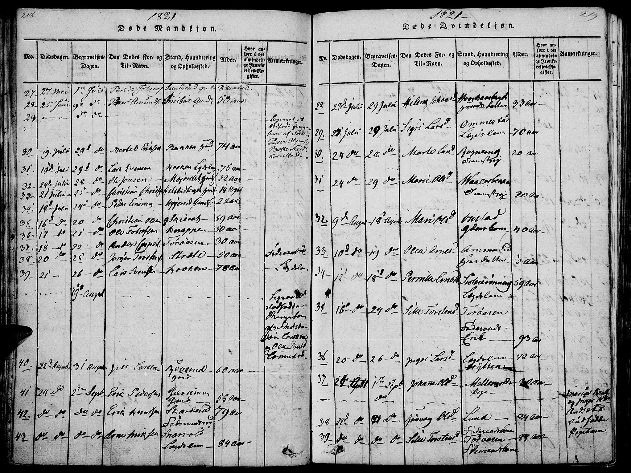 Hof prestekontor, AV/SAH-PREST-038/H/Ha/Haa/L0005: Parish register (official) no. 5, 1816-1822, p. 218-219