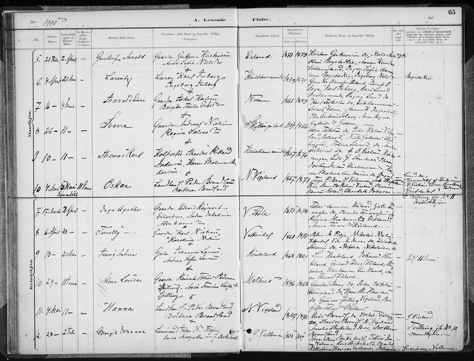 Sør-Audnedal sokneprestkontor, AV/SAK-1111-0039/F/Fa/Fab/L0010: Parish register (official) no. A 10, 1892-1913, p. 65