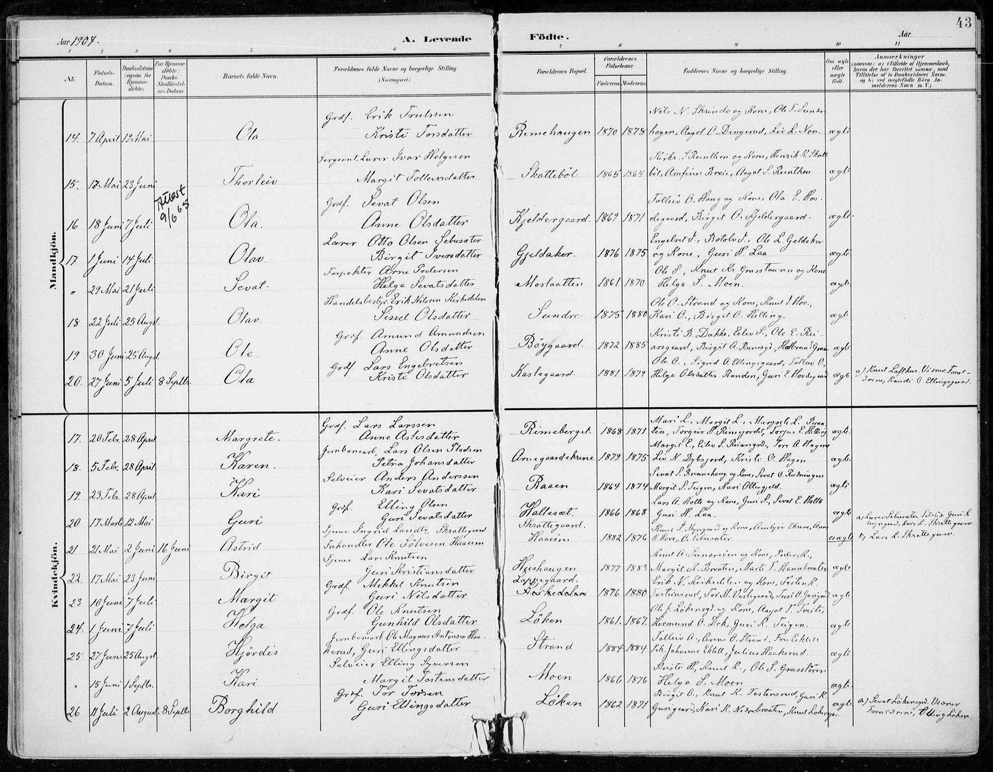 Ål kirkebøker, SAKO/A-249/F/Fa/L0009: Parish register (official) no. I 9, 1897-1915, p. 43