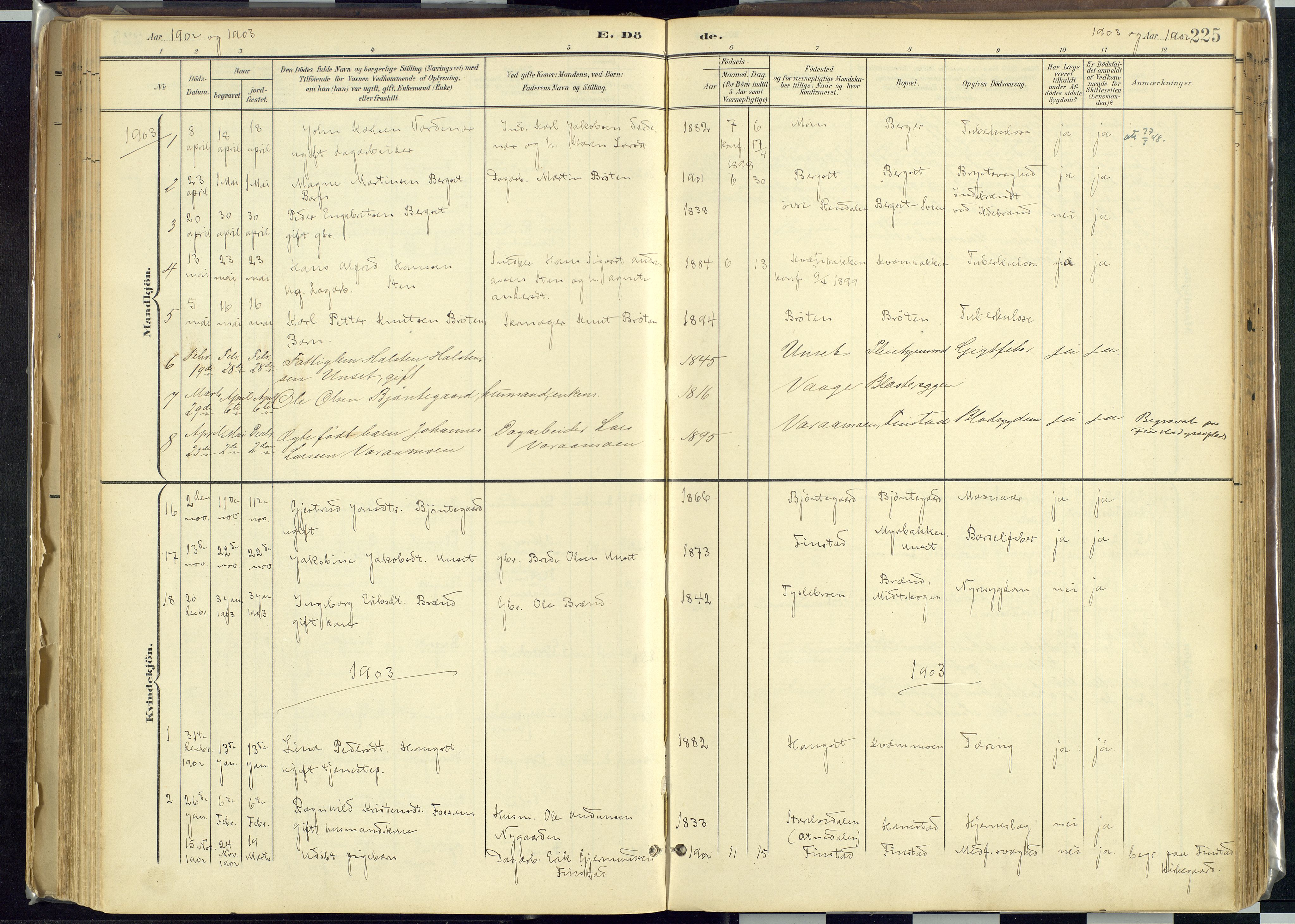 Rendalen prestekontor, SAH/PREST-054/H/Ha/Haa/L0012: Parish register (official) no. 12, 1901-1928, p. 225
