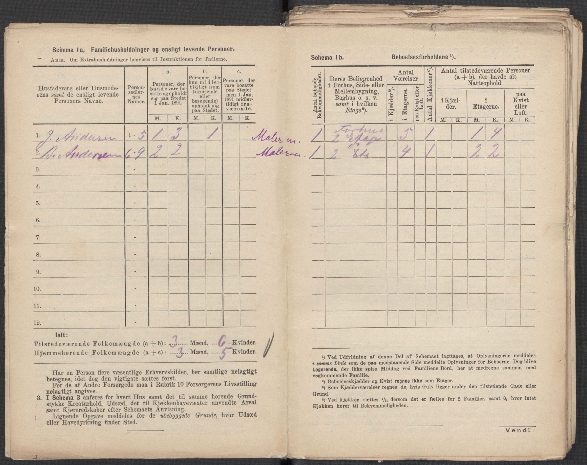 RA, 1891 Census for 1301 Bergen, 1891, p. 2008