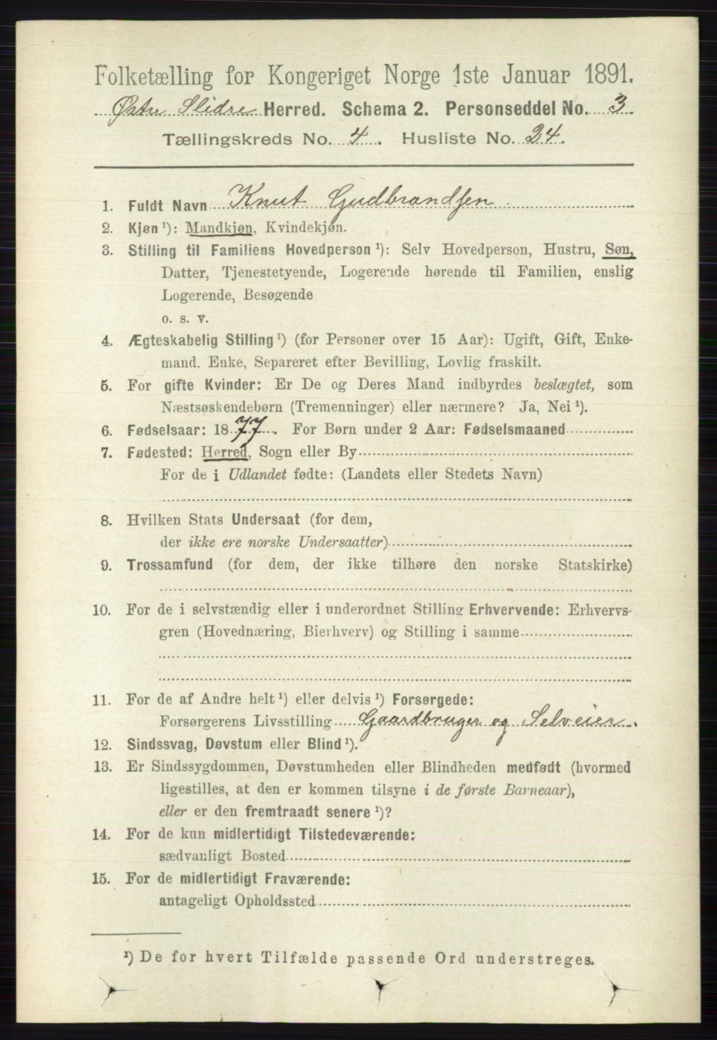 RA, 1891 census for 0544 Øystre Slidre, 1891, p. 1321