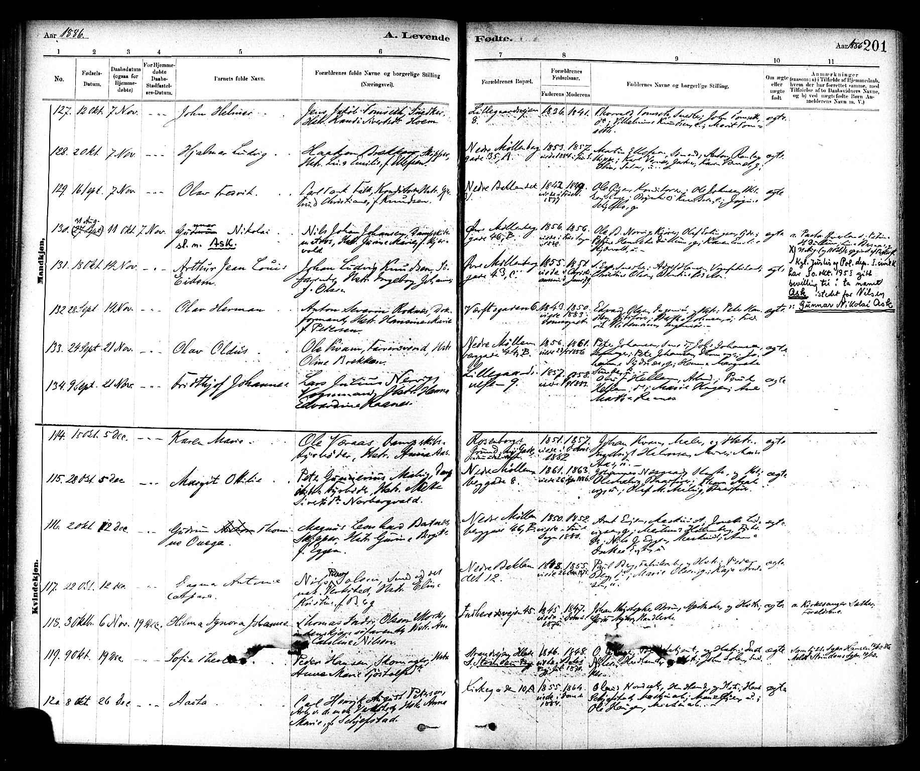 Ministerialprotokoller, klokkerbøker og fødselsregistre - Sør-Trøndelag, AV/SAT-A-1456/604/L0188: Parish register (official) no. 604A09, 1878-1892, p. 201