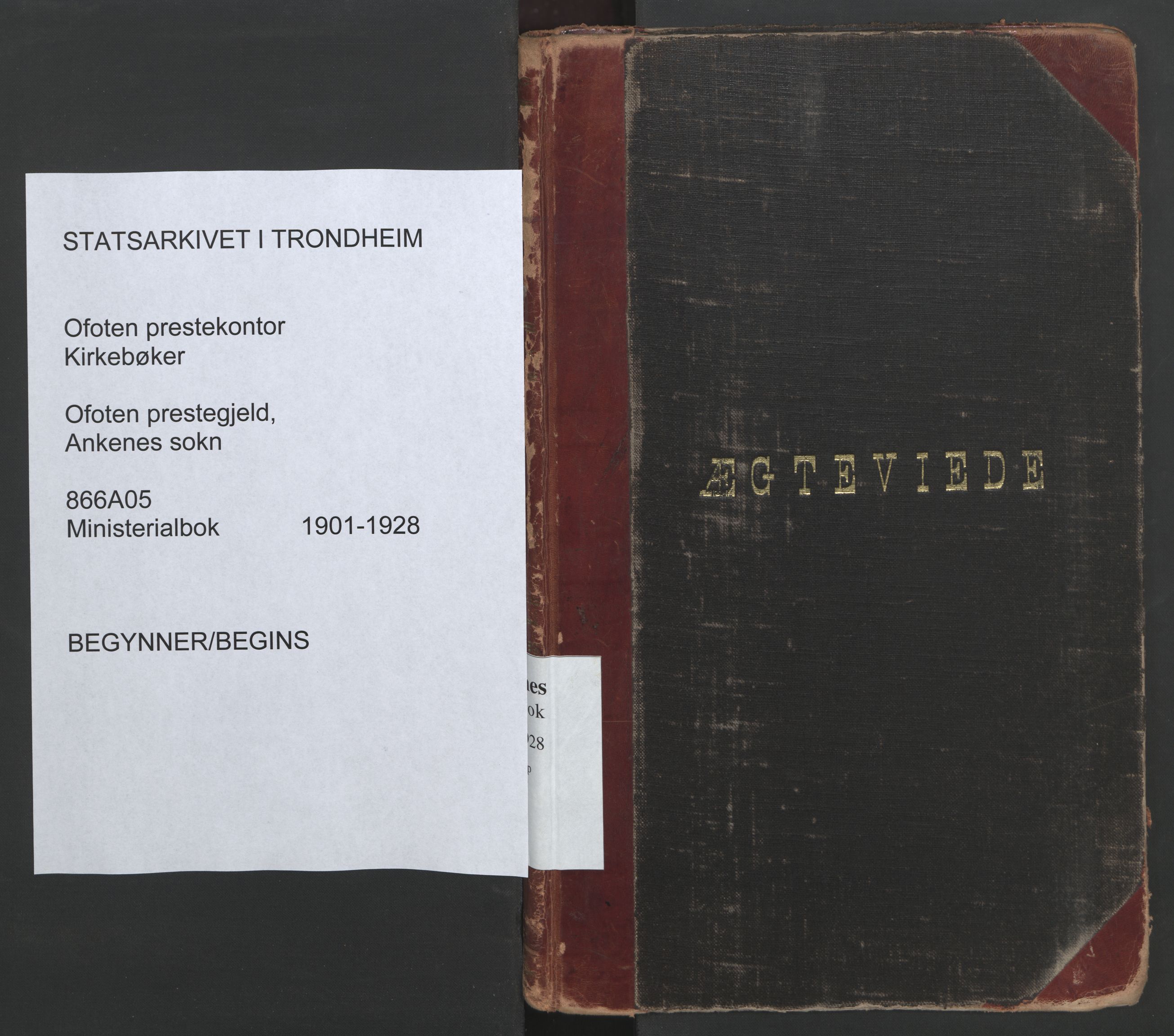 Ministerialprotokoller, klokkerbøker og fødselsregistre - Nordland, SAT/A-1459/866/L0942: Parish register (official) no. 866A05, 1901-1928