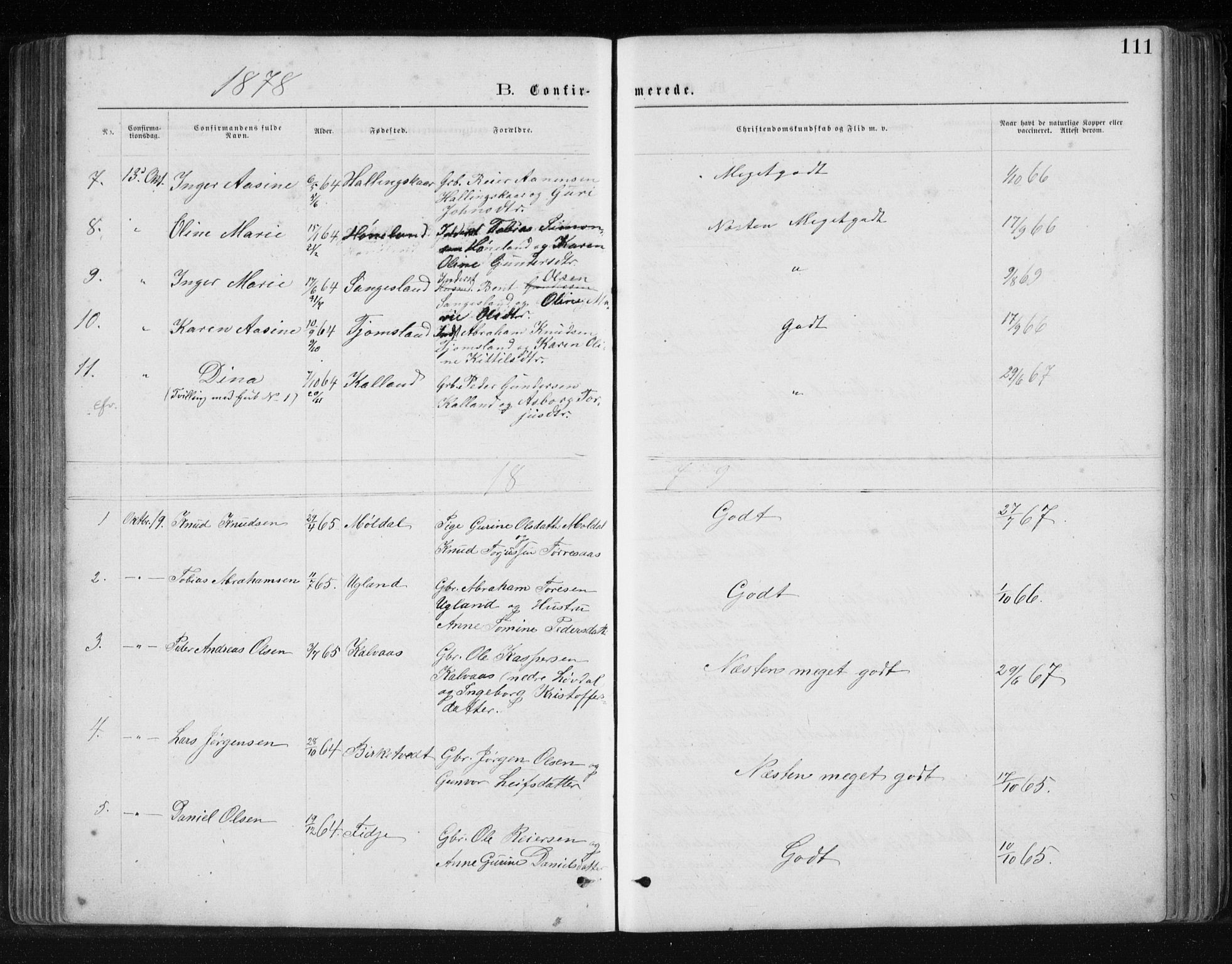 Holum sokneprestkontor, SAK/1111-0022/F/Fb/Fbb/L0003: Parish register (copy) no. B 3, 1875-1898, p. 111