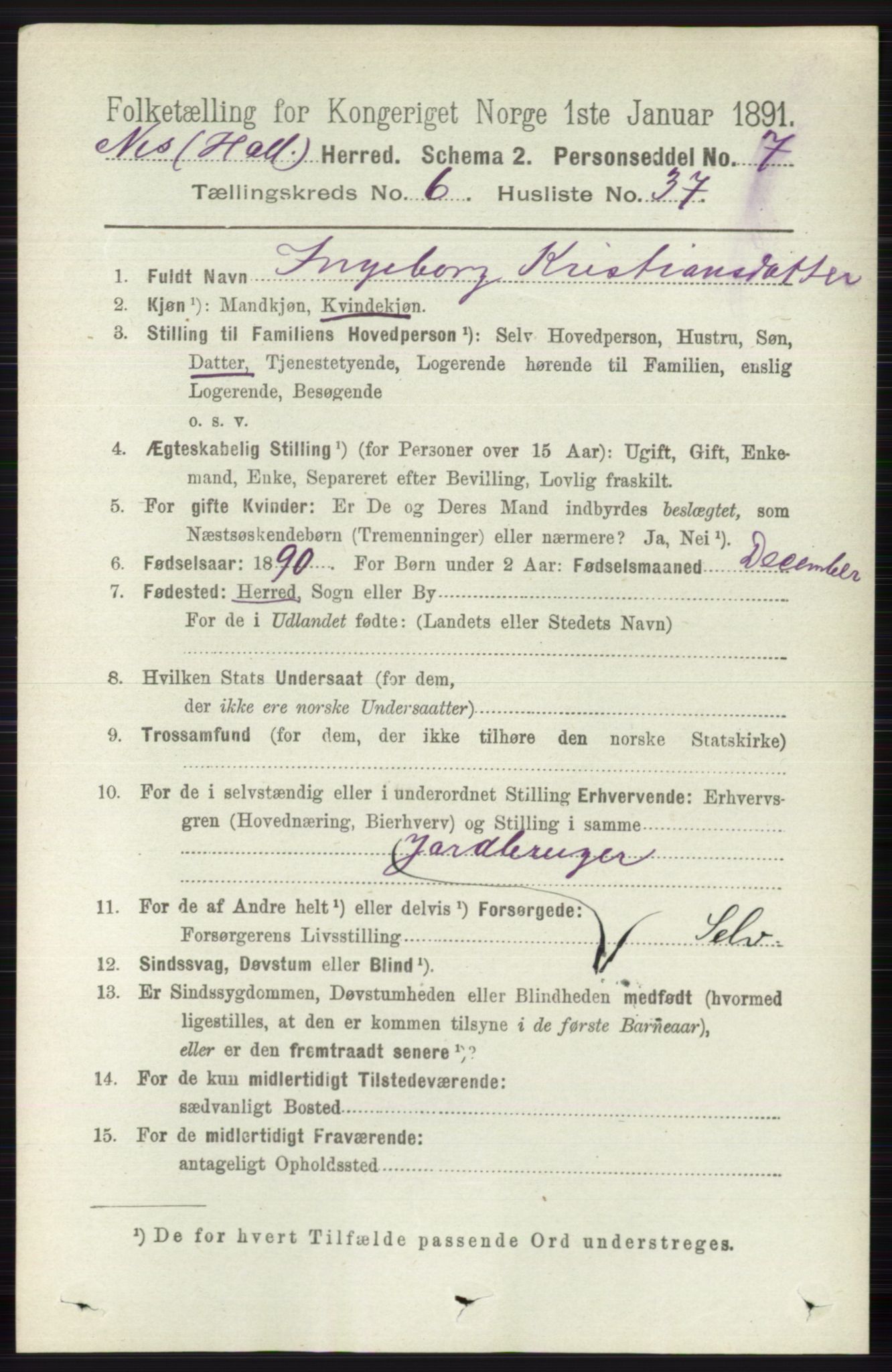 RA, 1891 census for 0616 Nes, 1891, p. 3250