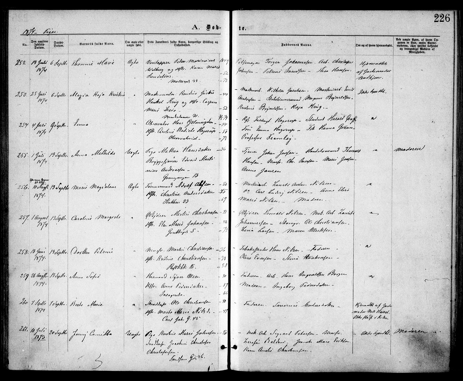 Trefoldighet prestekontor Kirkebøker, SAO/A-10882/F/Fa/L0003: Parish register (official) no. I 3, 1870-1876, p. 226