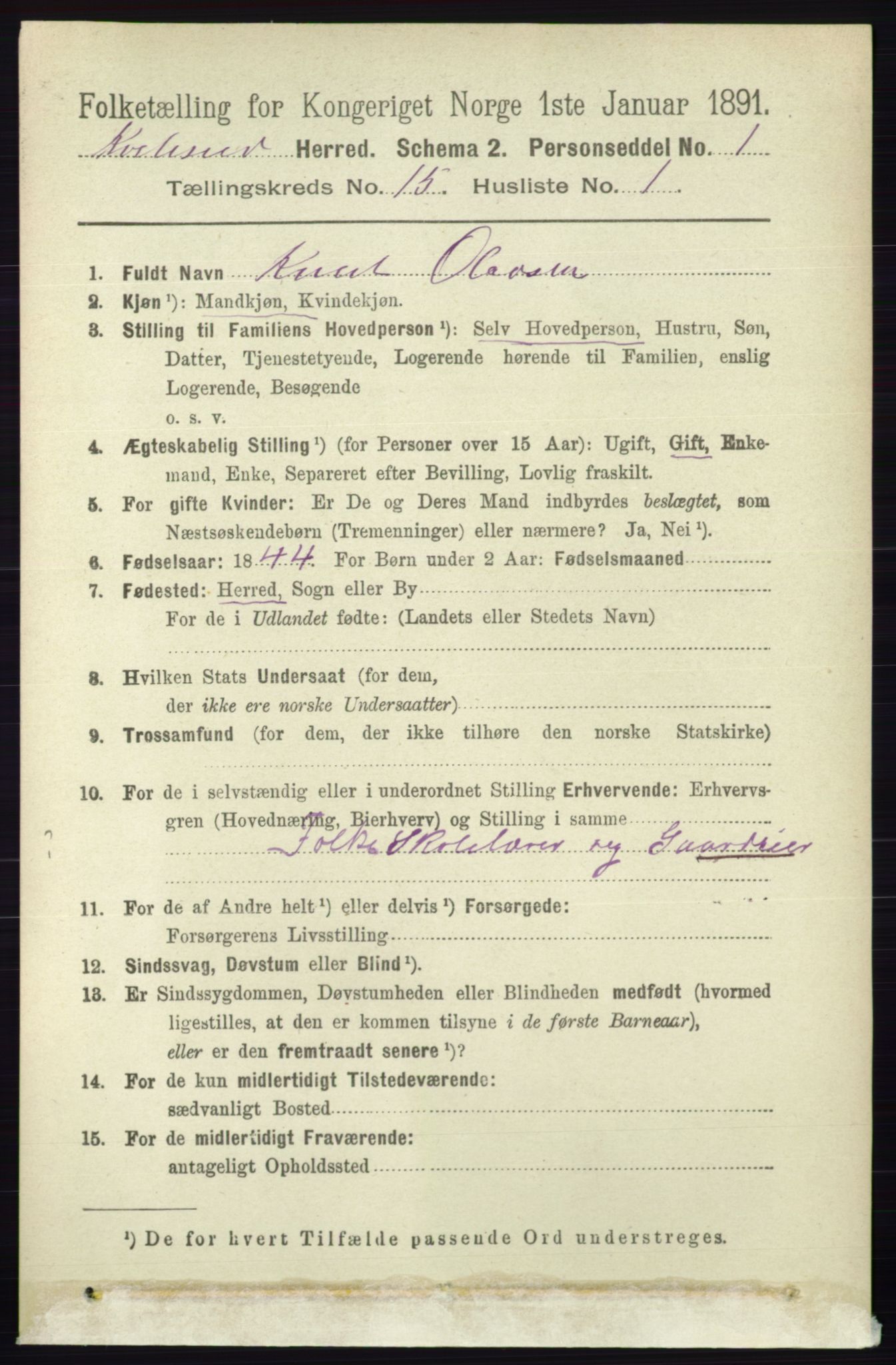 RA, 1891 census for 0829 Kviteseid, 1891, p. 3521