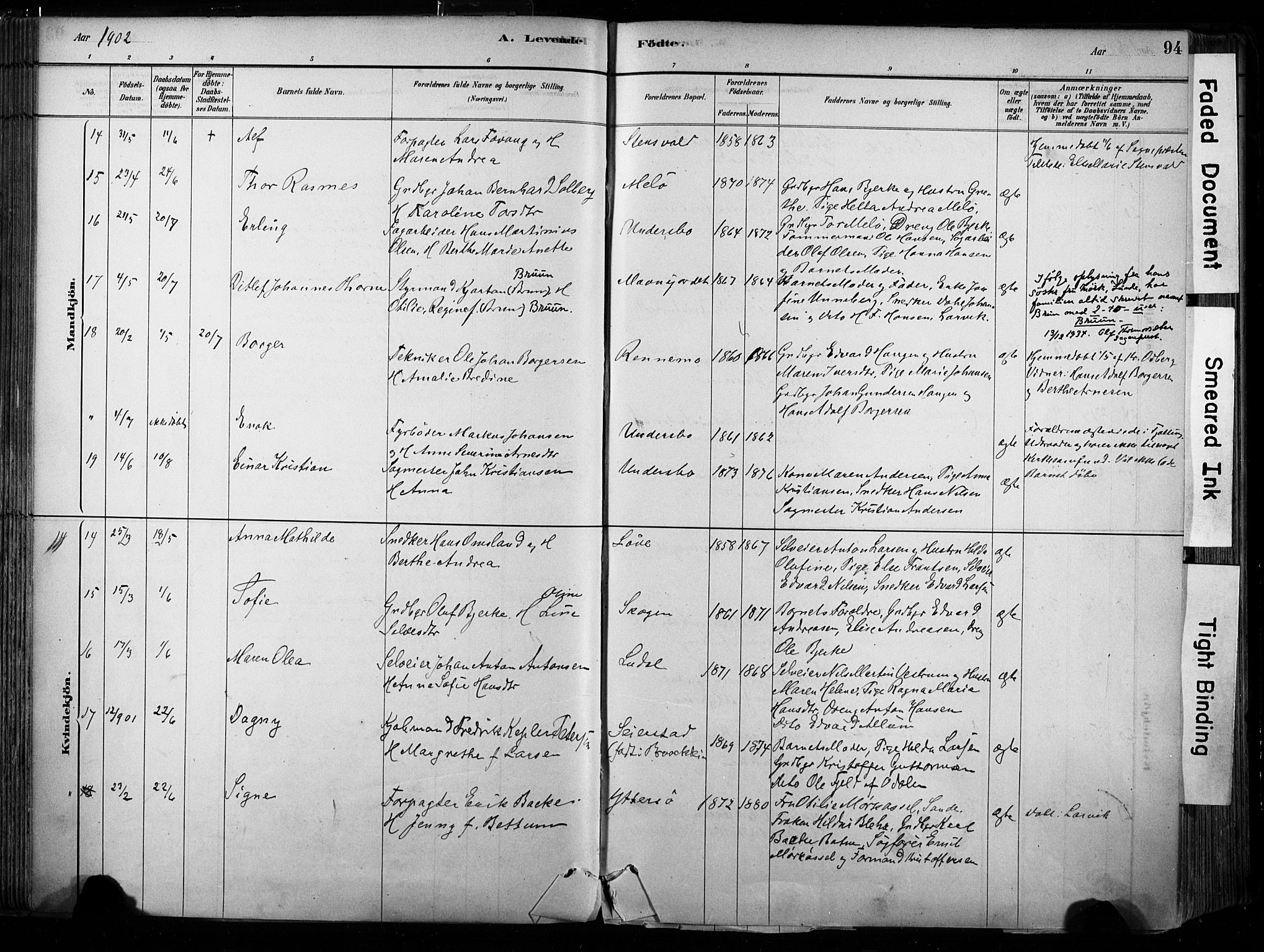 Hedrum kirkebøker, AV/SAKO-A-344/F/Fa/L0009: Parish register (official) no. I 9, 1881-1903, p. 94