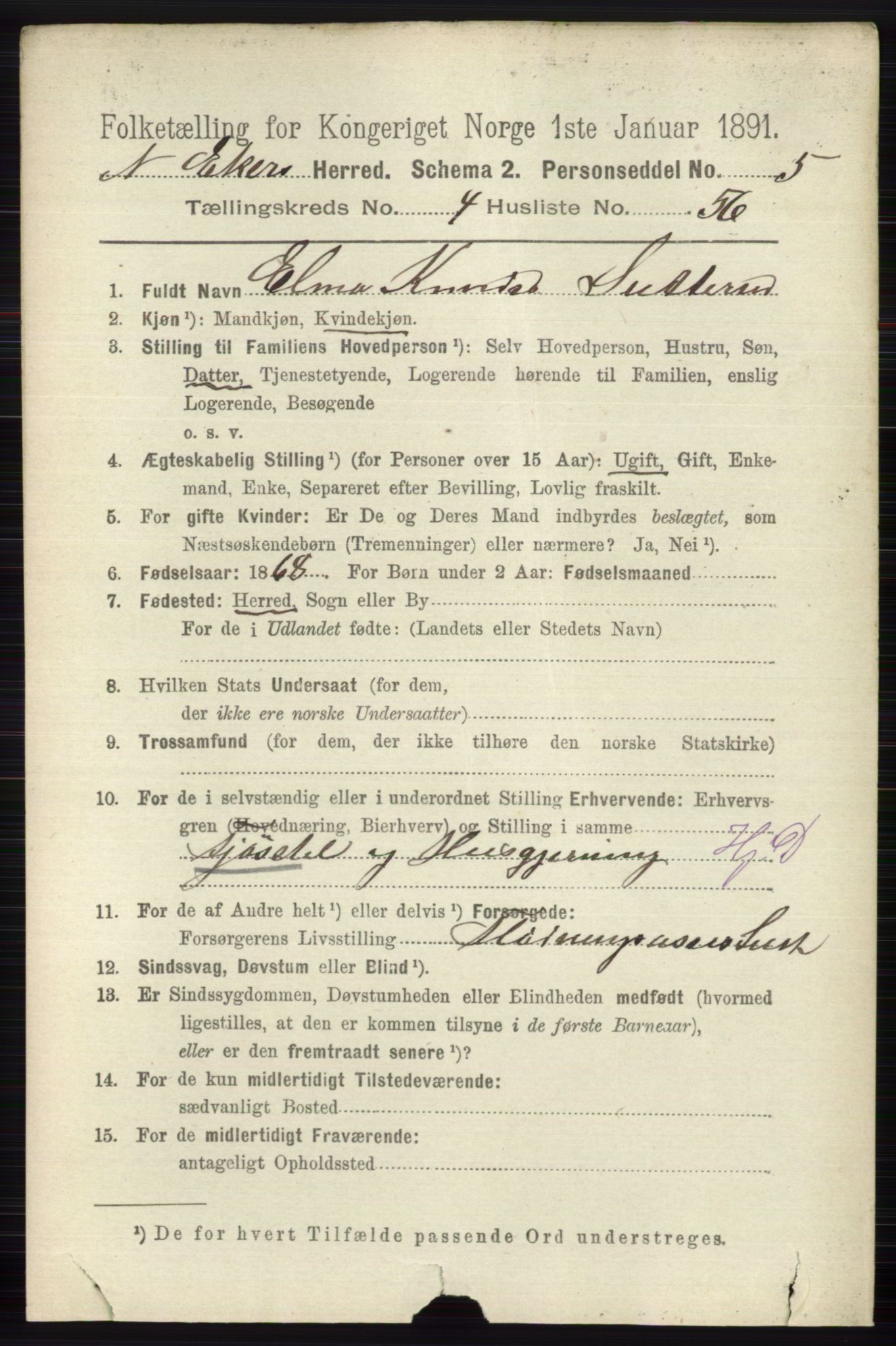 RA, 1891 census for 0625 Nedre Eiker, 1891, p. 2251