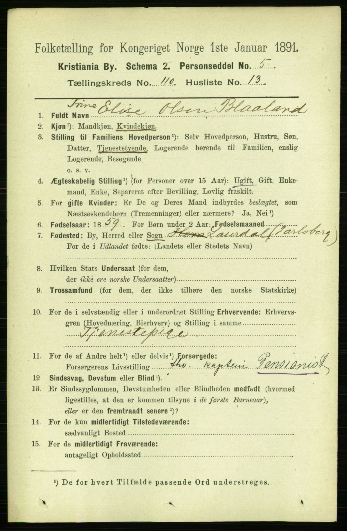 RA, 1891 census for 0301 Kristiania, 1891, p. 57501