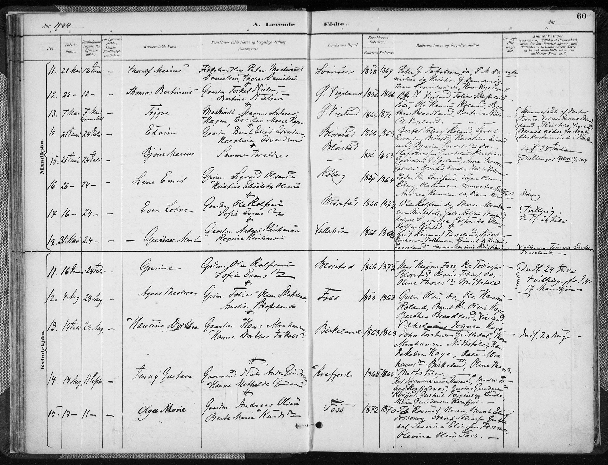 Sør-Audnedal sokneprestkontor, AV/SAK-1111-0039/F/Fa/Fab/L0010: Parish register (official) no. A 10, 1892-1913, p. 60