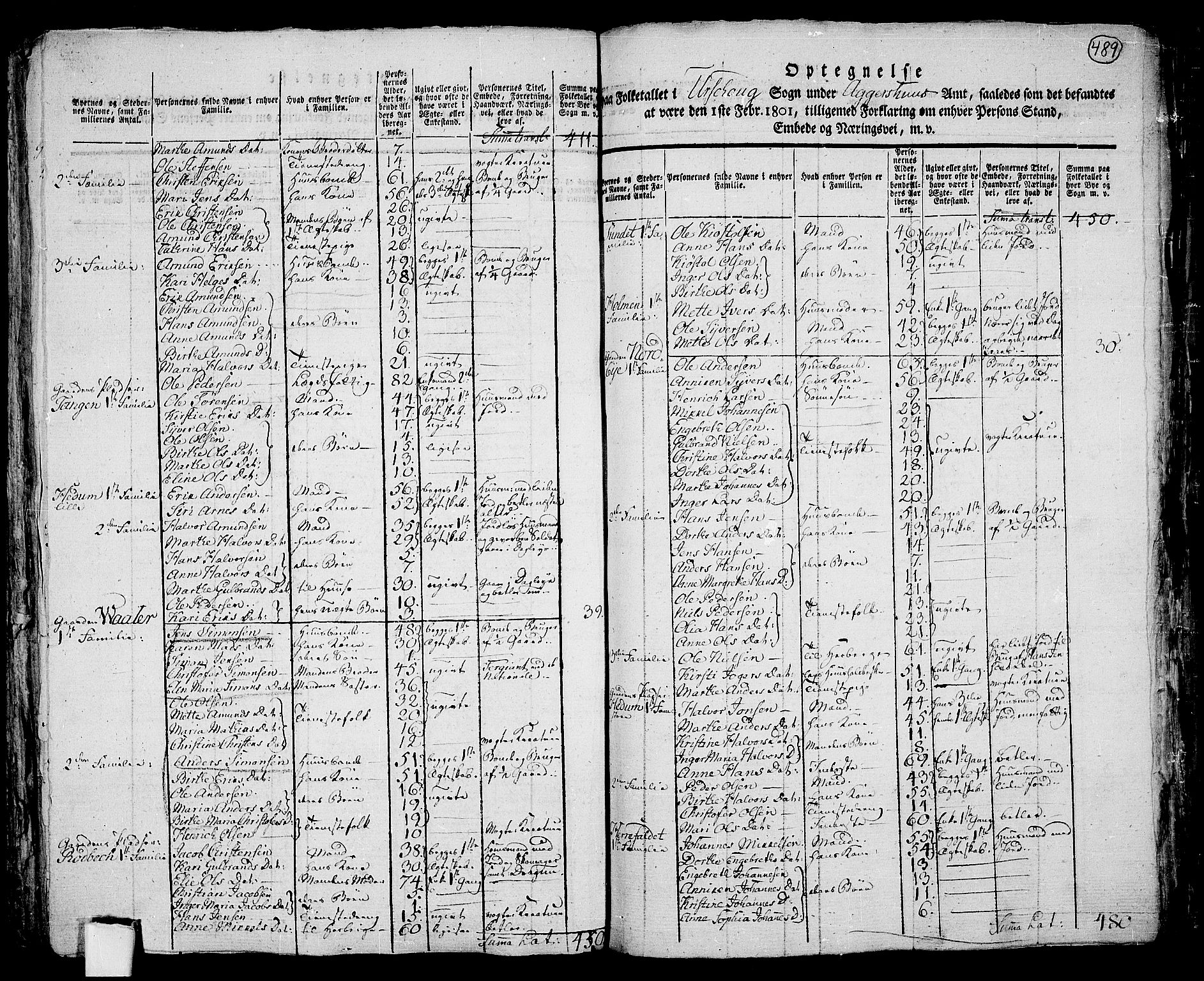 RA, 1801 census for 0224P Aurskog, 1801, p. 488b-489a