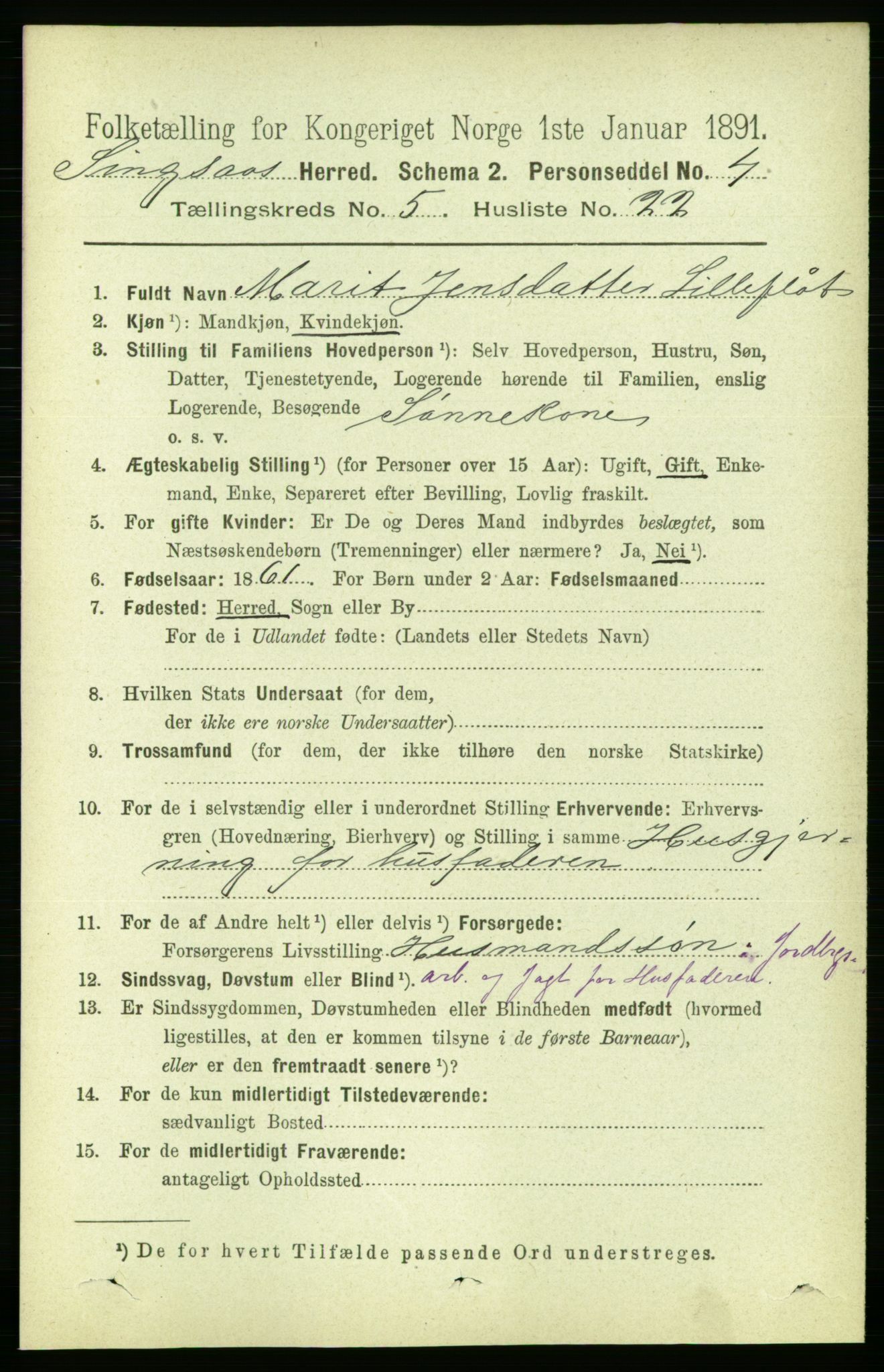 RA, 1891 census for 1646 Singsås, 1891, p. 1166