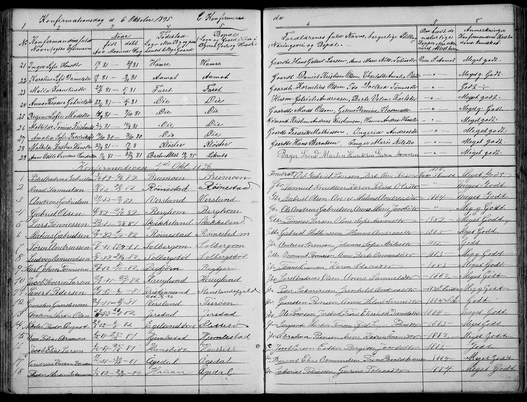 Kvinesdal sokneprestkontor, AV/SAK-1111-0026/F/Fb/Fbb/L0002: Parish register (copy) no. B 2, 1873-1897, p. 197