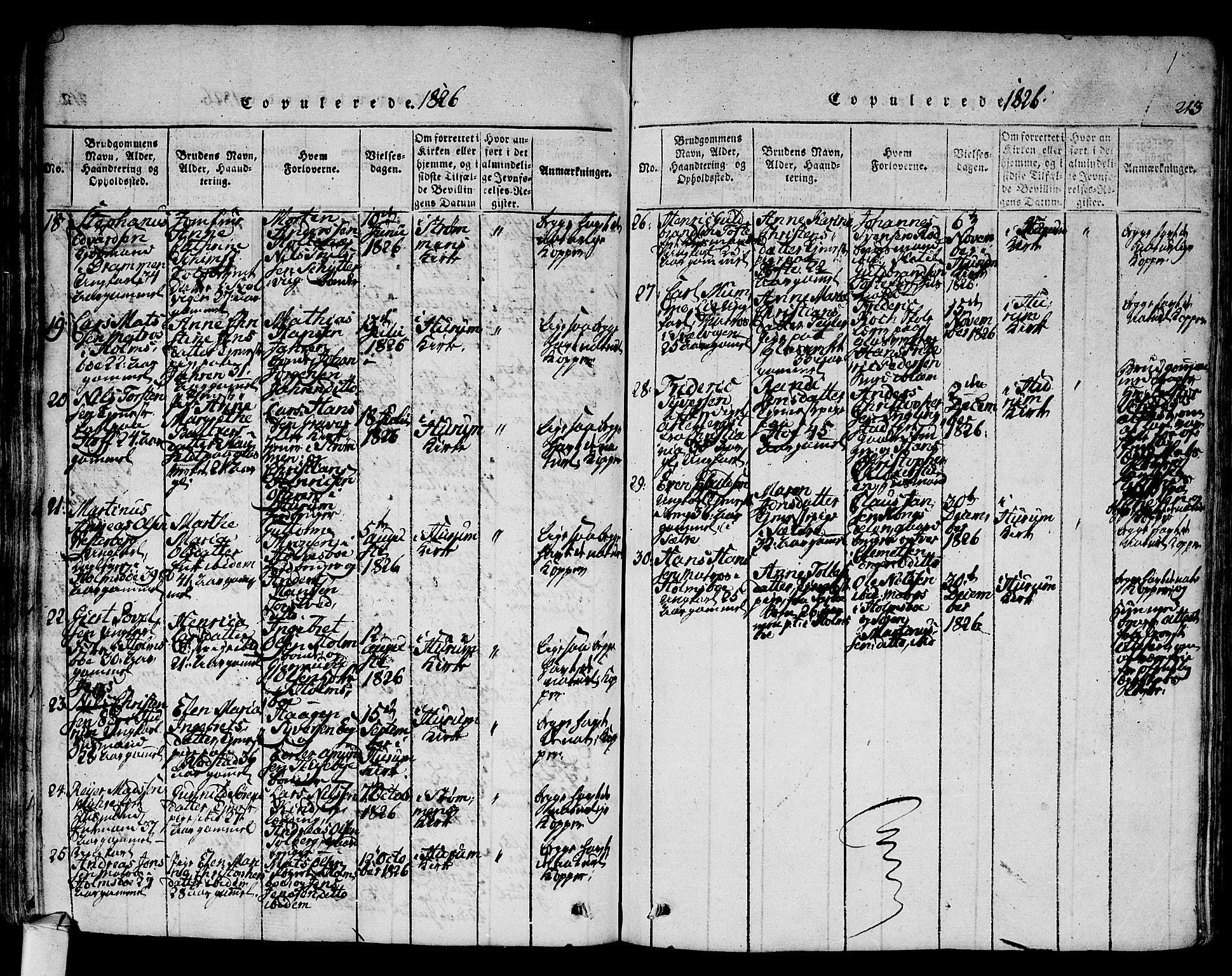 Hurum kirkebøker, AV/SAKO-A-229/F/Fa/L0009: Parish register (official) no. 9, 1816-1826, p. 213