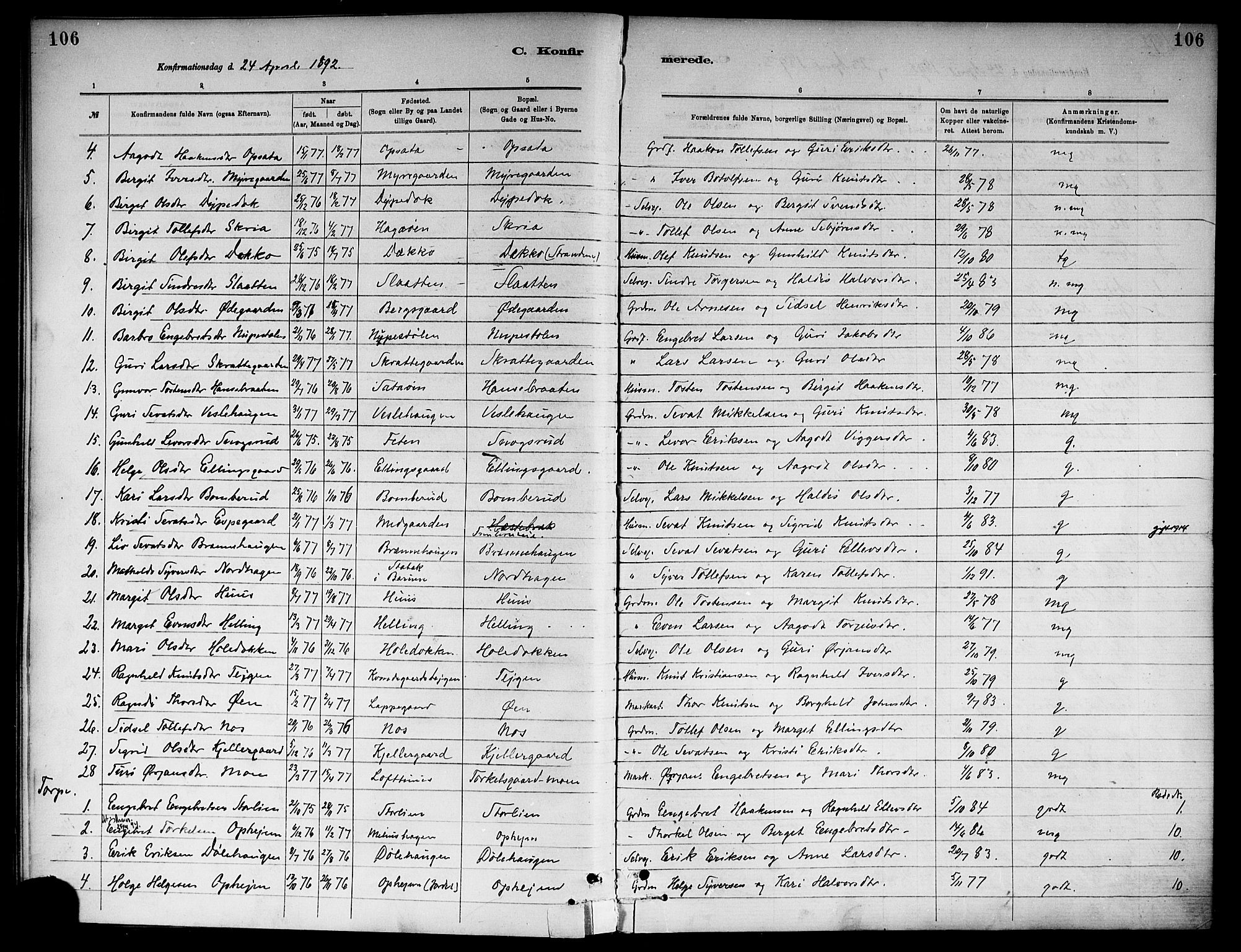 Ål kirkebøker, SAKO/A-249/F/Fa/L0008: Parish register (official) no. I 8, 1882-1896, p. 106