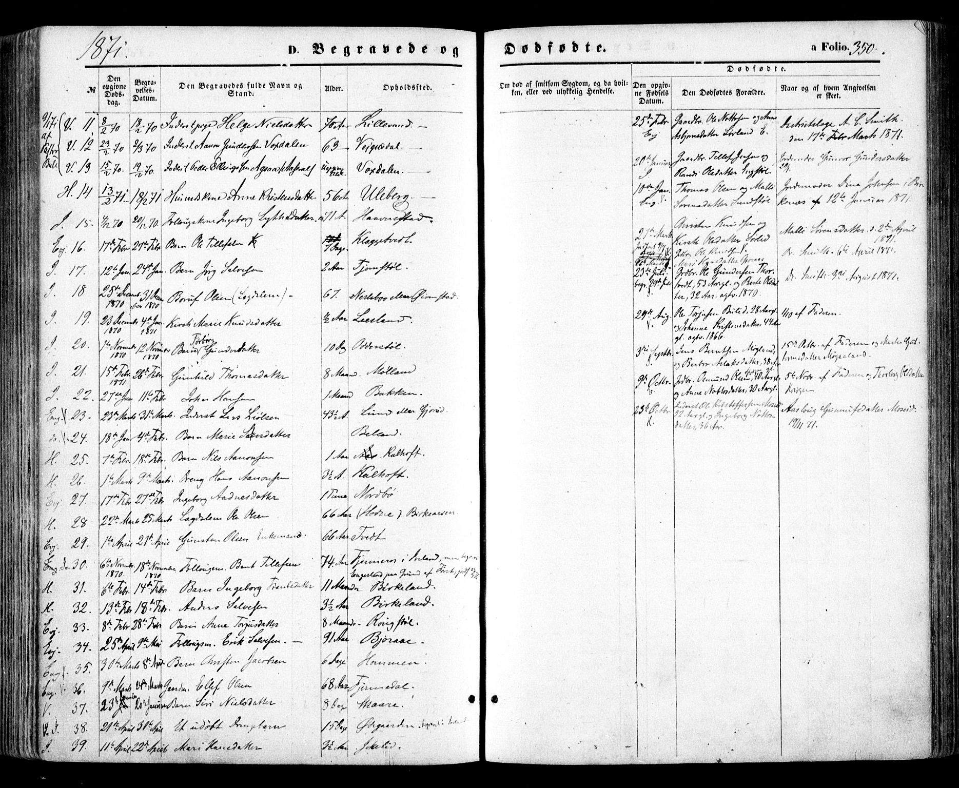 Evje sokneprestkontor, SAK/1111-0008/F/Fa/Faa/L0006: Parish register (official) no. A 6, 1866-1884, p. 350