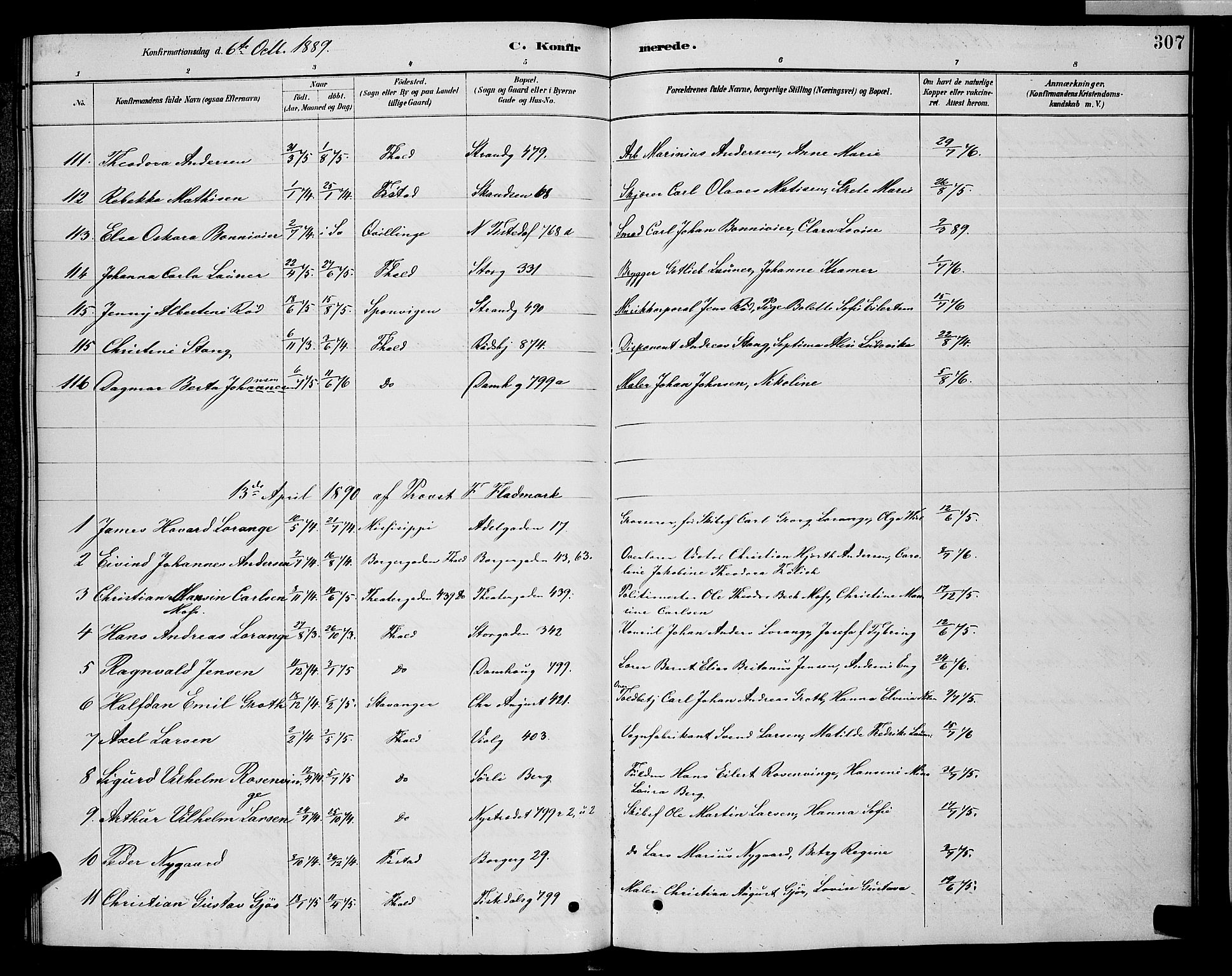 Halden prestekontor Kirkebøker, SAO/A-10909/G/Ga/L0008: Parish register (copy) no. 8, 1885-1899, p. 307