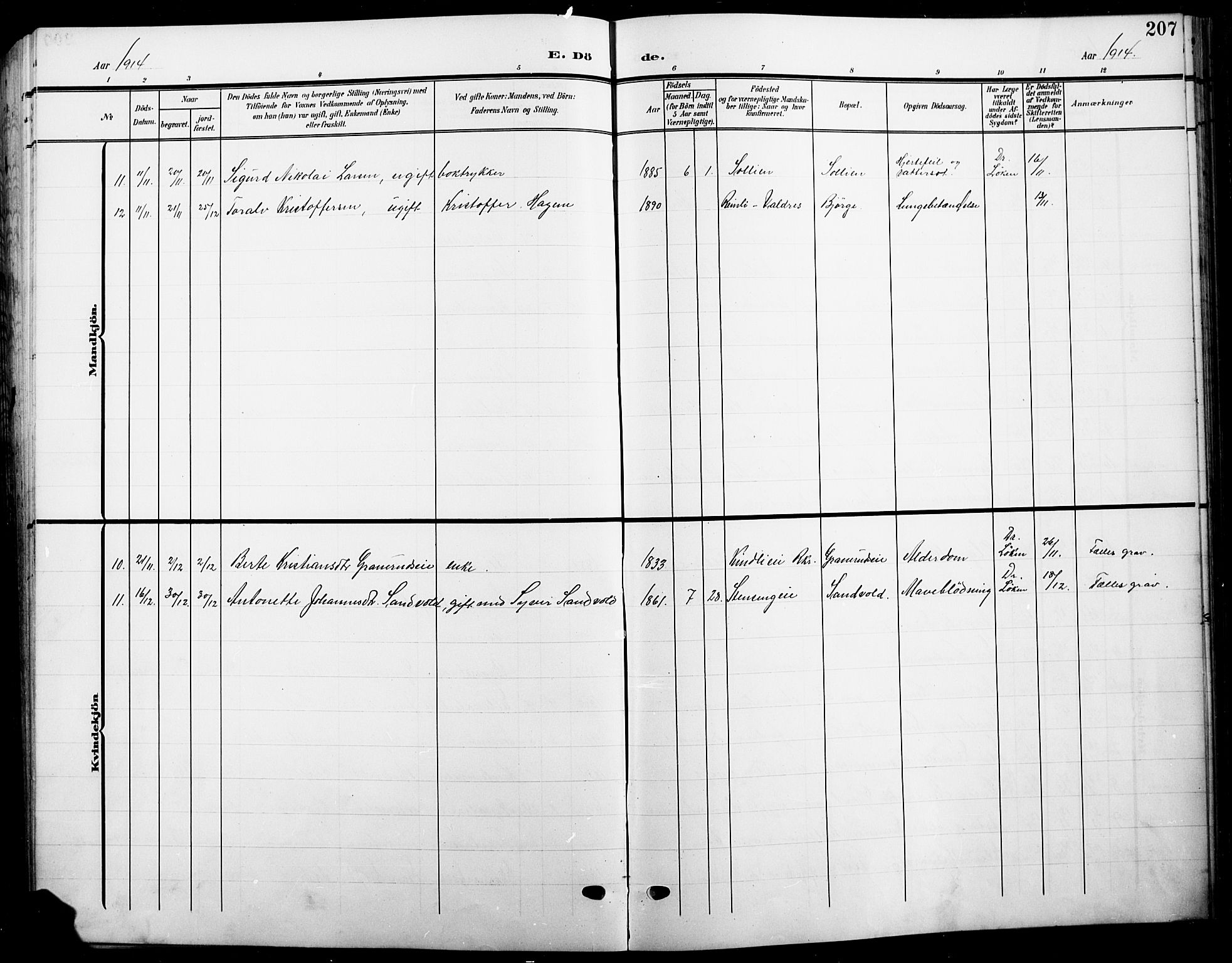 Ringsaker prestekontor, AV/SAH-PREST-014/L/La/L0017: Parish register (copy) no. 17, 1905-1920, p. 207