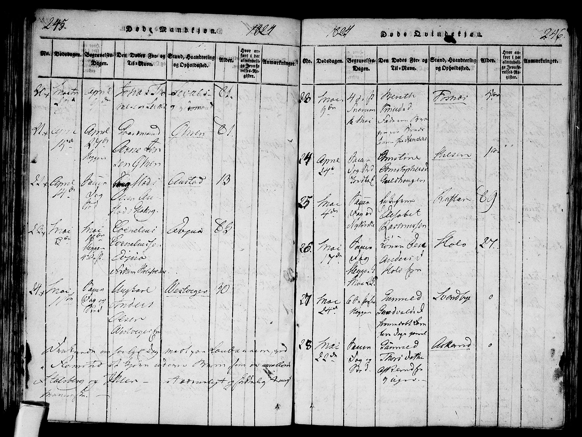 Modum kirkebøker, AV/SAKO-A-234/F/Fa/L0004: Parish register (official) no. 4, 1818-1824, p. 245-246