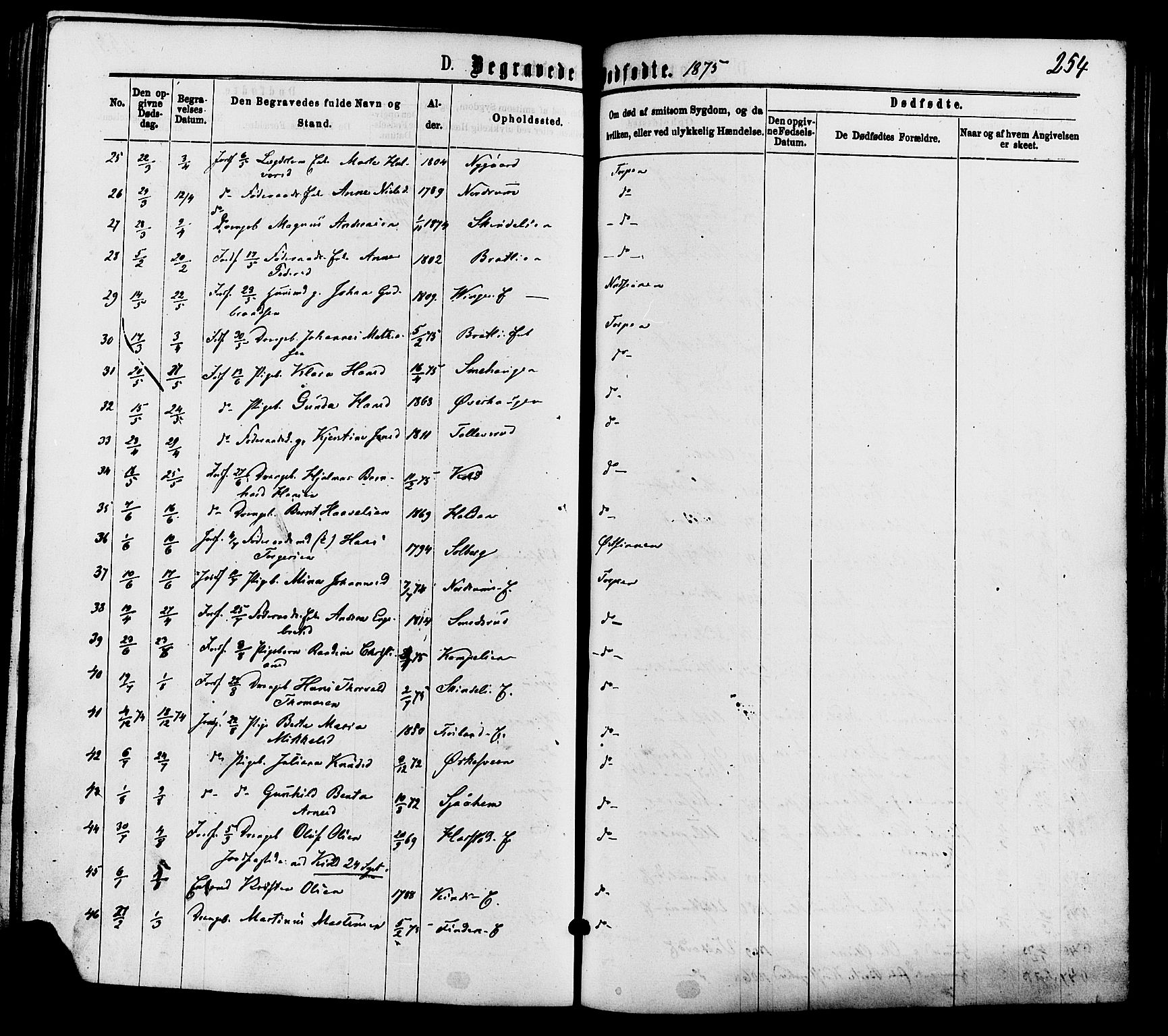 Nordre Land prestekontor, SAH/PREST-124/H/Ha/Haa/L0002: Parish register (official) no. 2, 1872-1881, p. 254