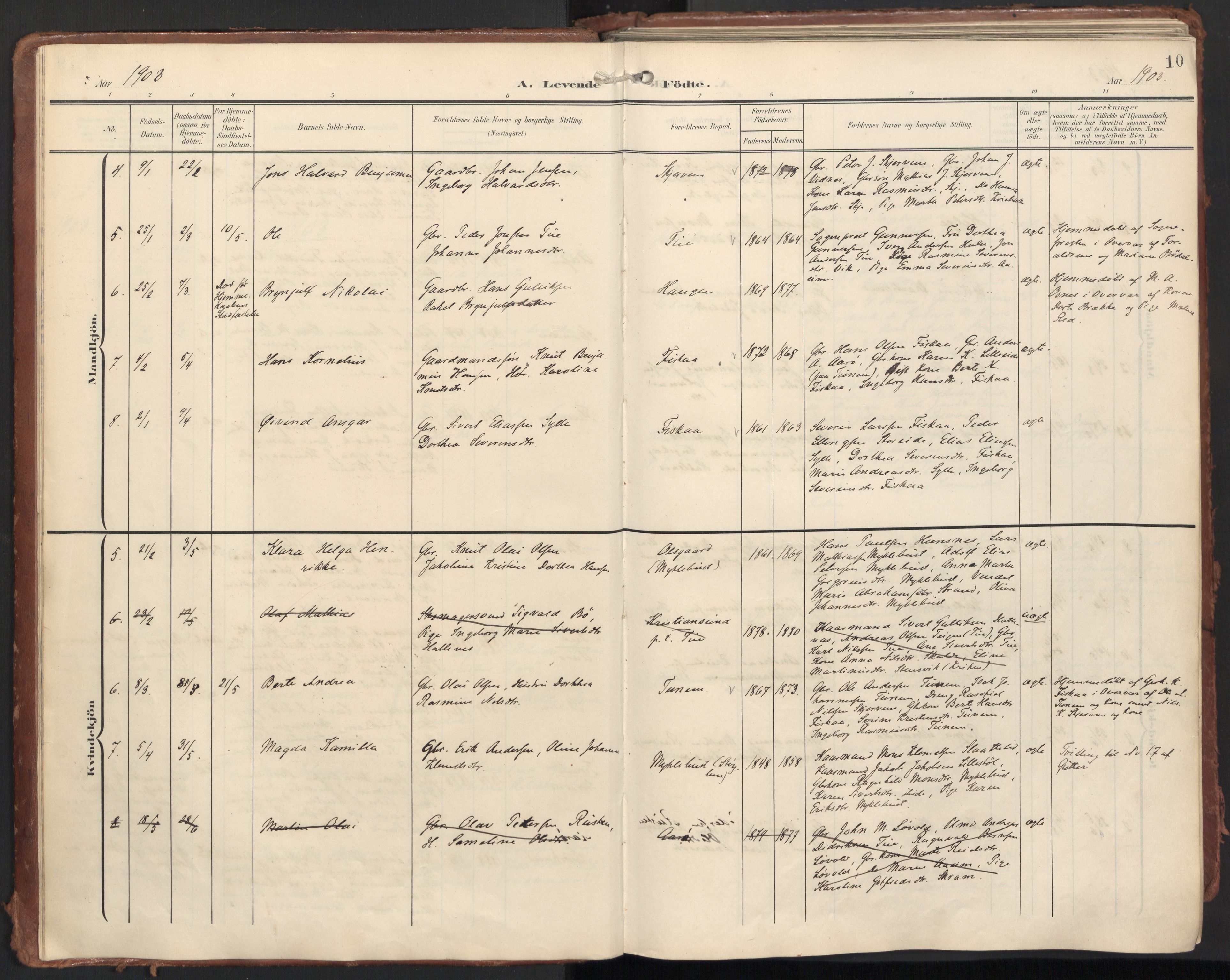 Ministerialprotokoller, klokkerbøker og fødselsregistre - Møre og Romsdal, AV/SAT-A-1454/501/L0011: Parish register (official) no. 501A11, 1902-1919, p. 10