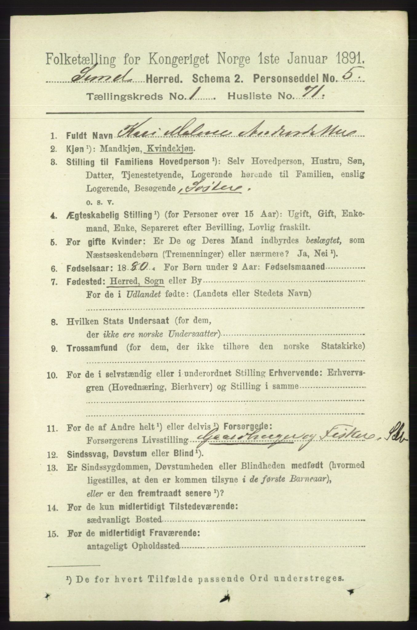 RA, 1891 census for 1245 Sund, 1891, p. 502