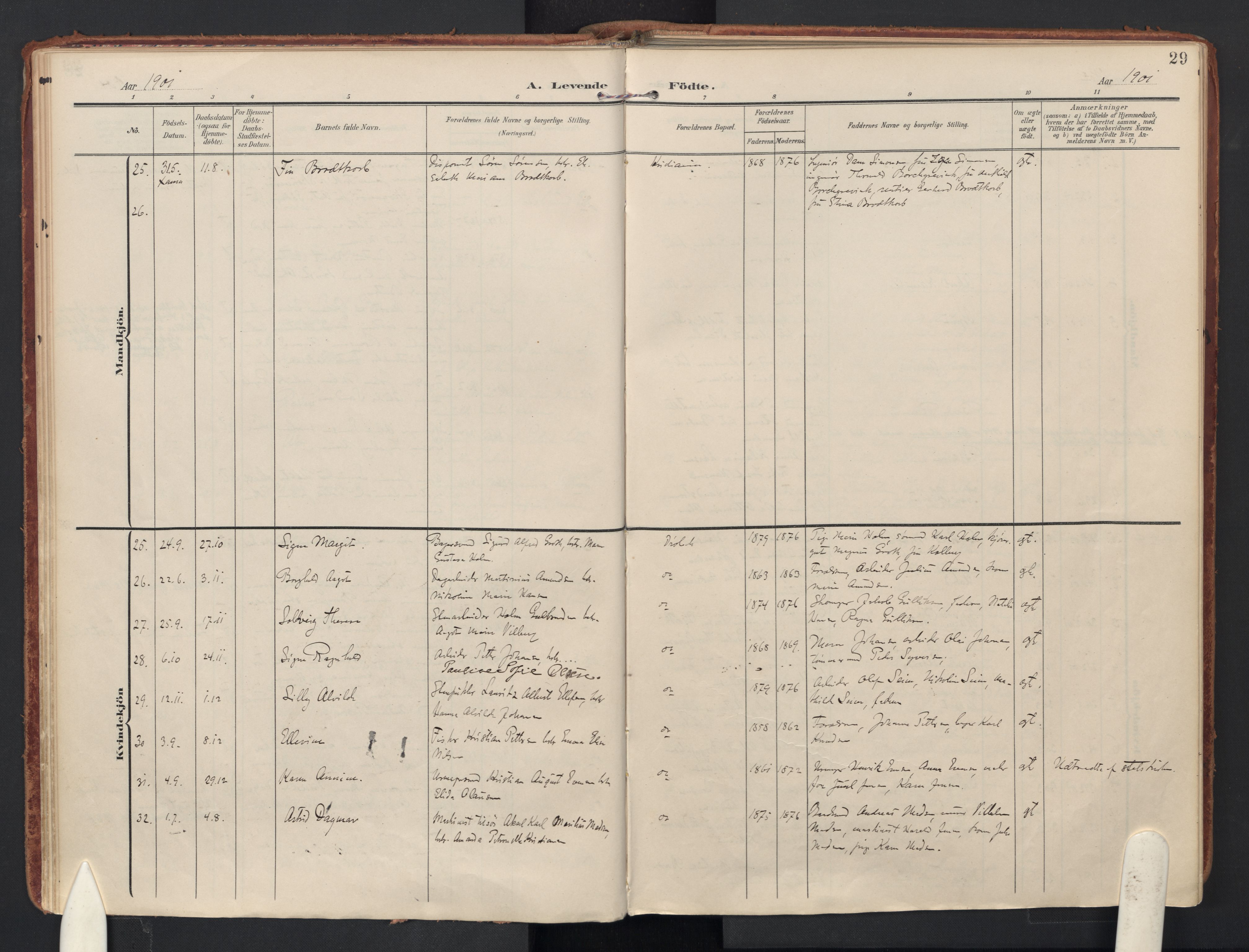 Drøbak prestekontor Kirkebøker, AV/SAO-A-10142a/F/Fb/L0003: Parish register (official) no. II 3, 1897-1918, p. 29