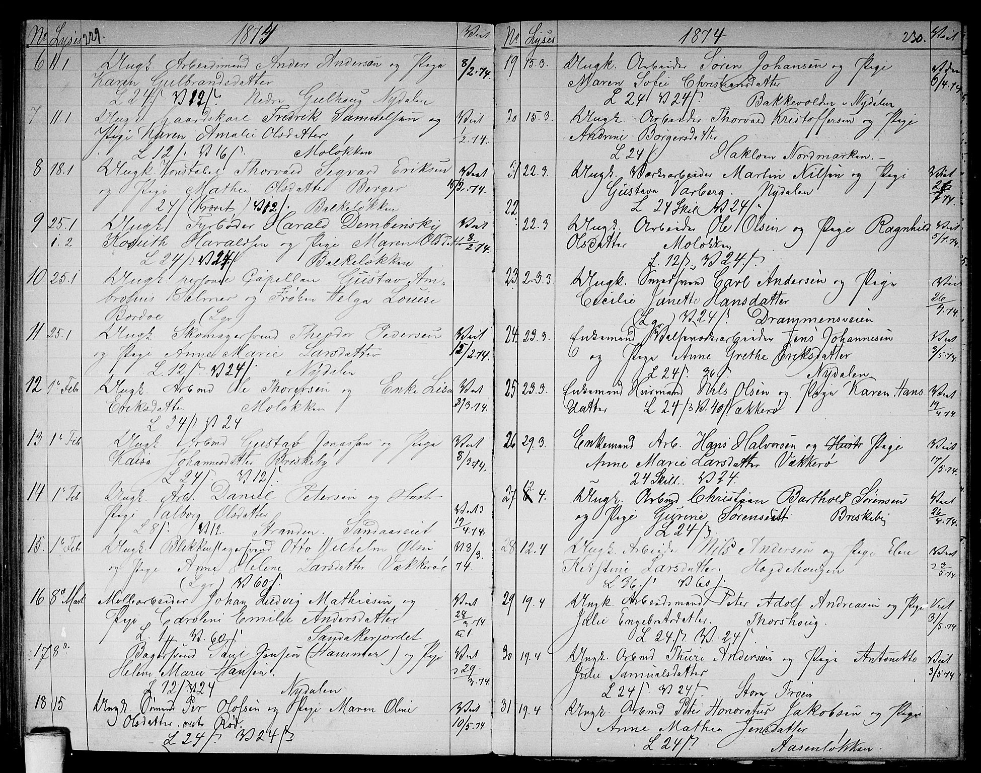 Vestre Aker prestekontor Kirkebøker, AV/SAO-A-10025/G/Ga/L0002: Parish register (copy) no. I 2, 1871-1879, p. 229-230