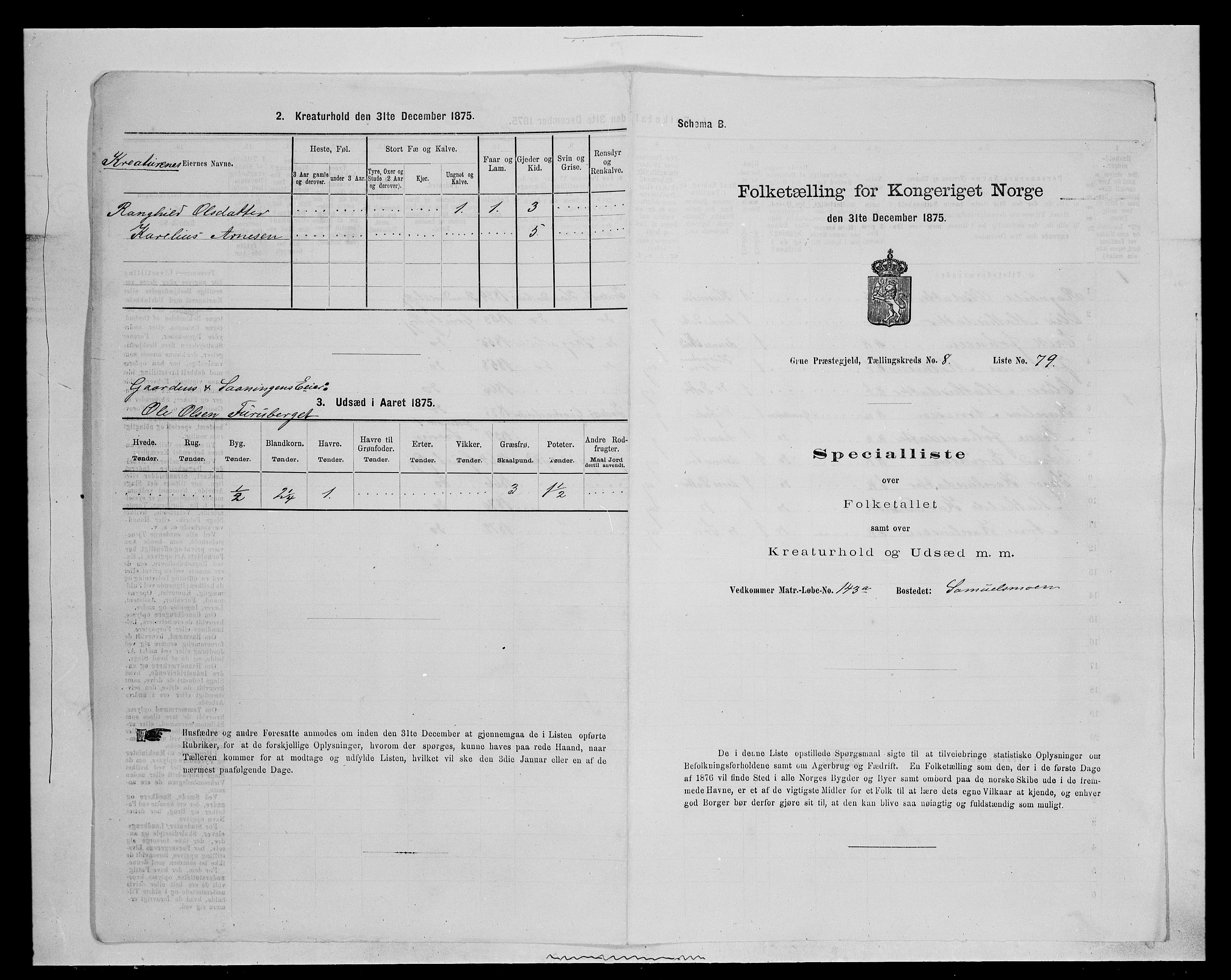 SAH, 1875 census for 0423P Grue, 1875, p. 1564