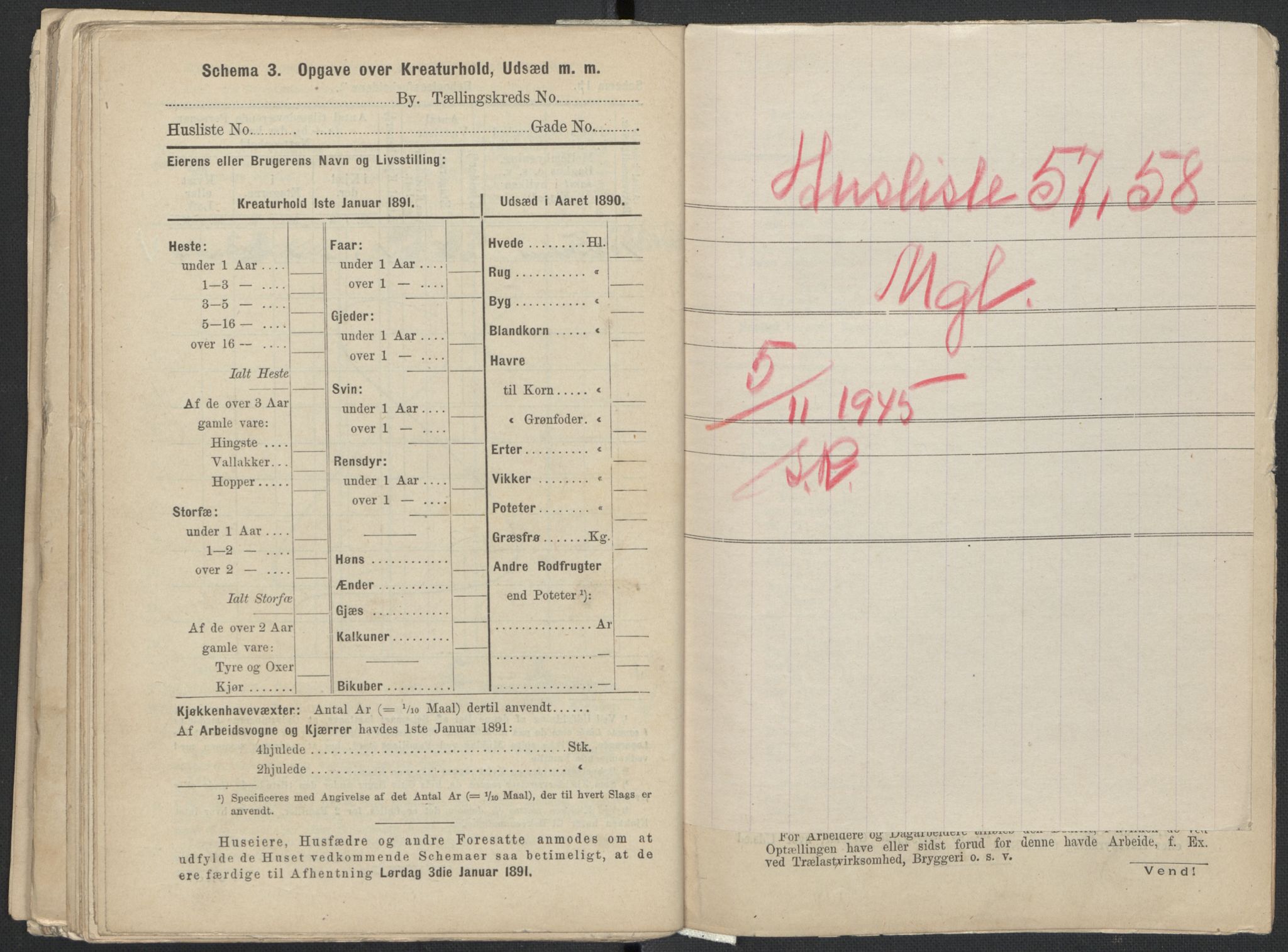 RA, 1891 Census for 1301 Bergen, 1891, p. 8564