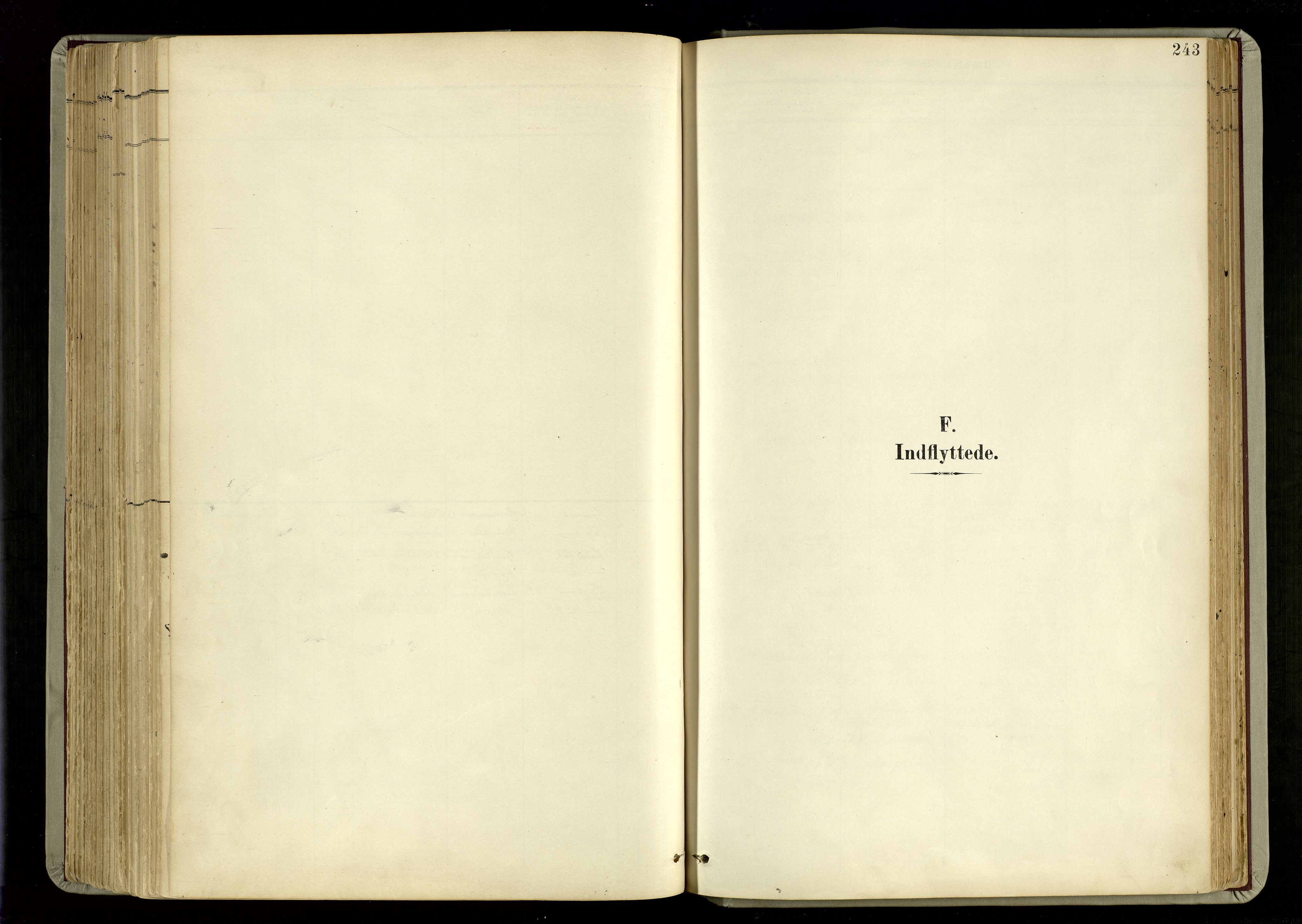 Hommedal sokneprestkontor, SAK/1111-0023/F/Fa/Fab/L0007: Parish register (official) no. A 7, 1898-1924, p. 243