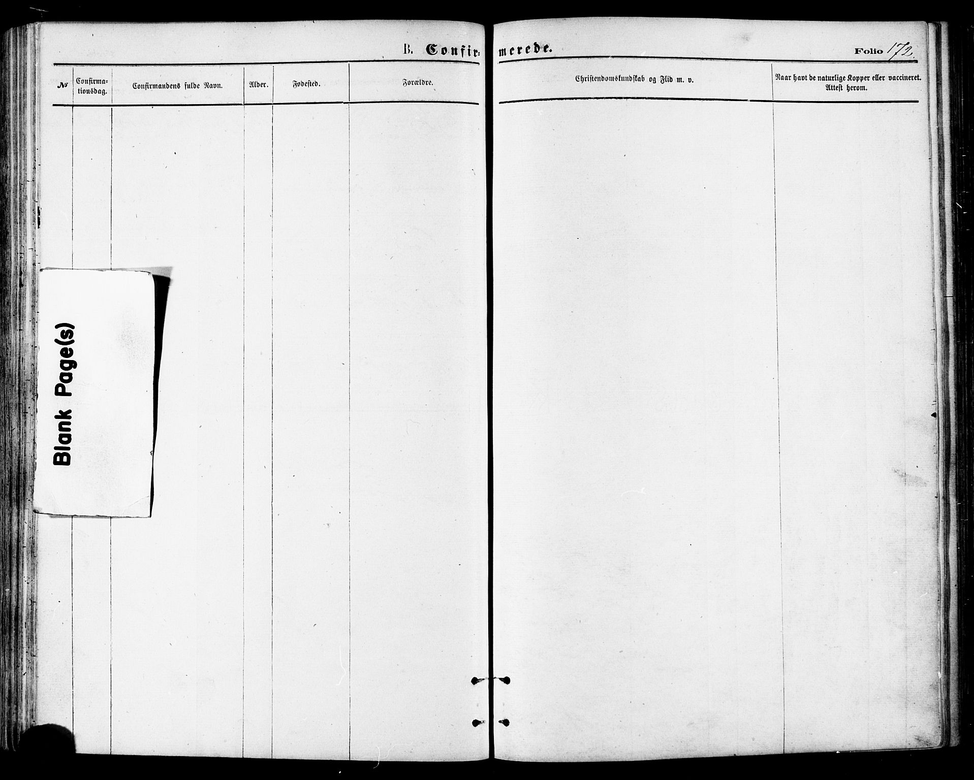 Ministerialprotokoller, klokkerbøker og fødselsregistre - Nordland, SAT/A-1459/846/L0645: Parish register (official) no. 846A03, 1872-1886, p. 172