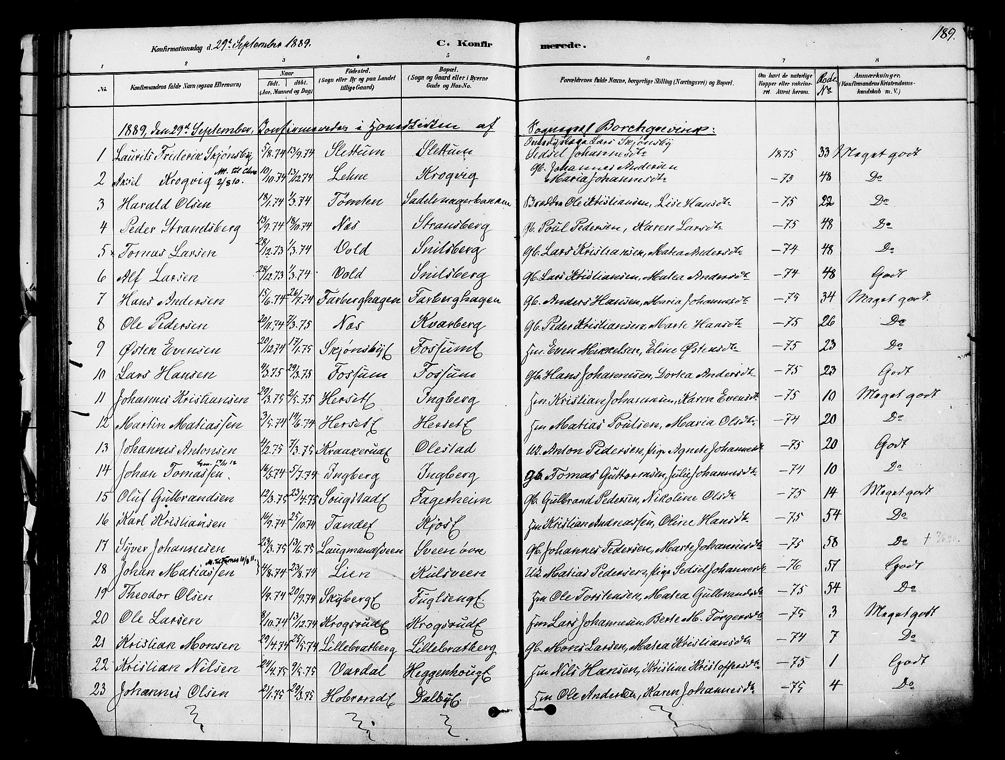 Ringsaker prestekontor, AV/SAH-PREST-014/K/Ka/L0012: Parish register (official) no. 12, 1879-1890, p. 189