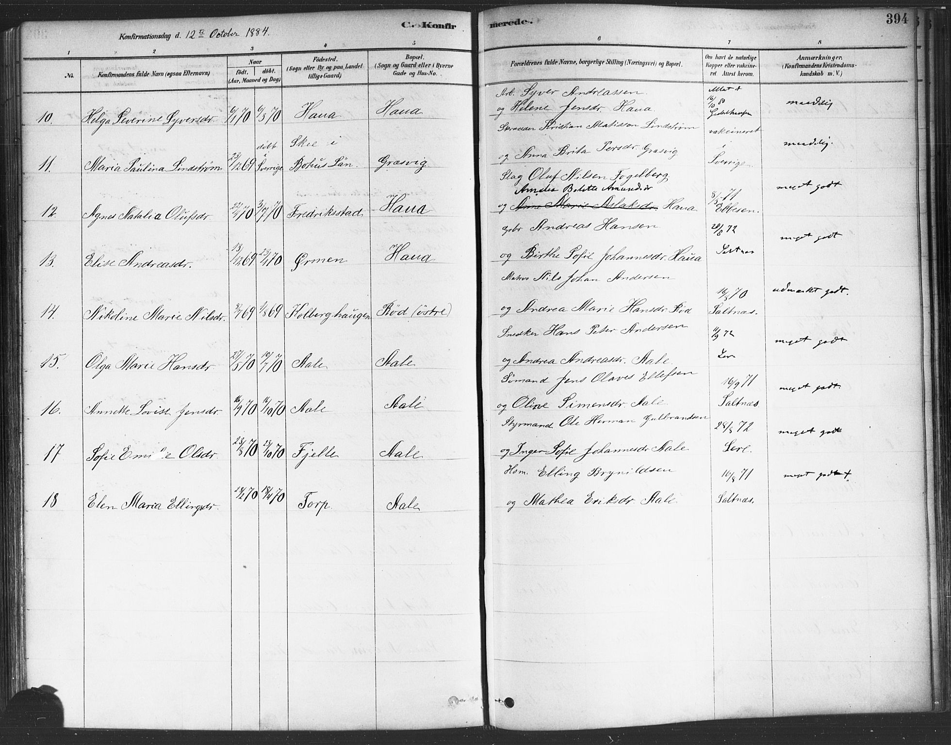 Onsøy prestekontor Kirkebøker, SAO/A-10914/F/Fa/L0005: Parish register (official) no. I 5, 1878-1898, p. 394