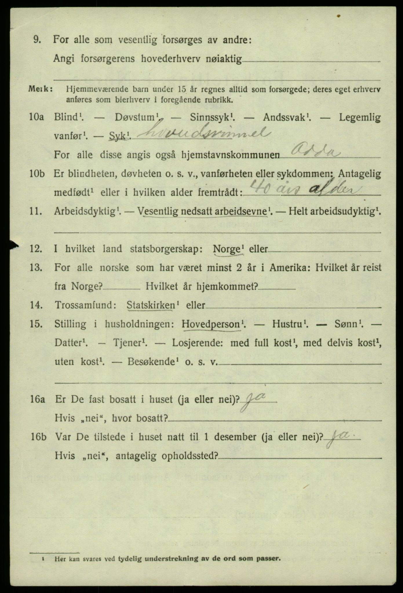 SAB, 1920 census for Odda, 1920, p. 1366