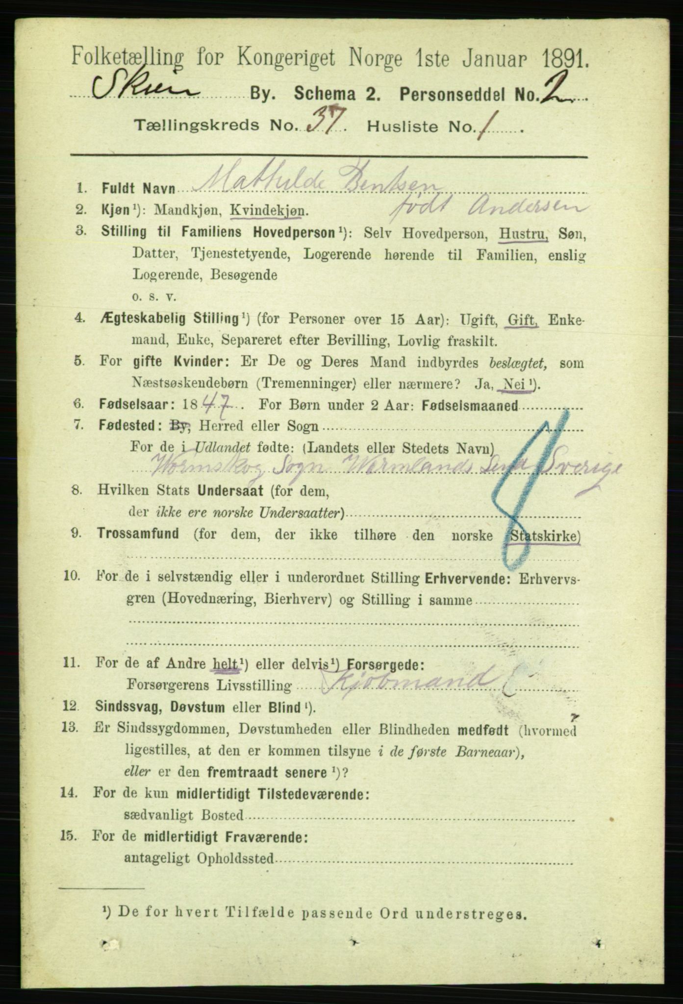 RA, 1891 census for 0806 Skien, 1891, p. 8067