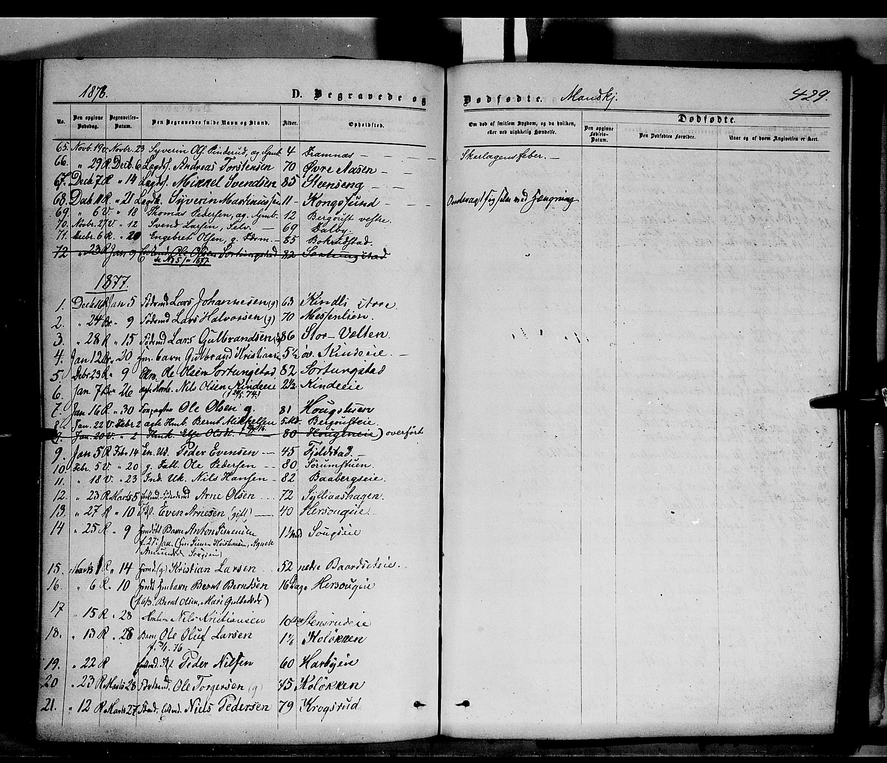 Ringsaker prestekontor, SAH/PREST-014/K/Ka/L0011: Parish register (official) no. 11, 1870-1878, p. 429