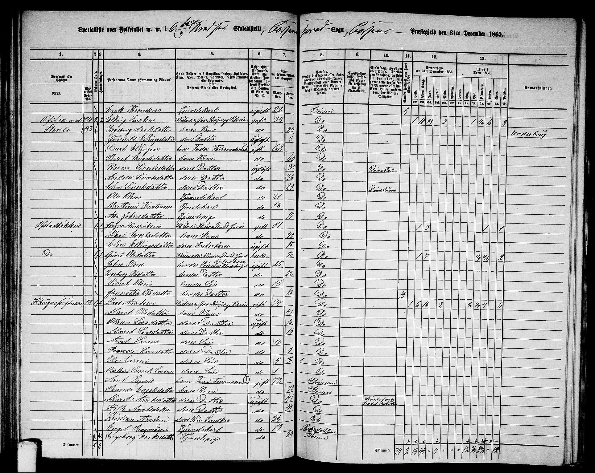 RA, 1865 census for Børsa, 1865, p. 95