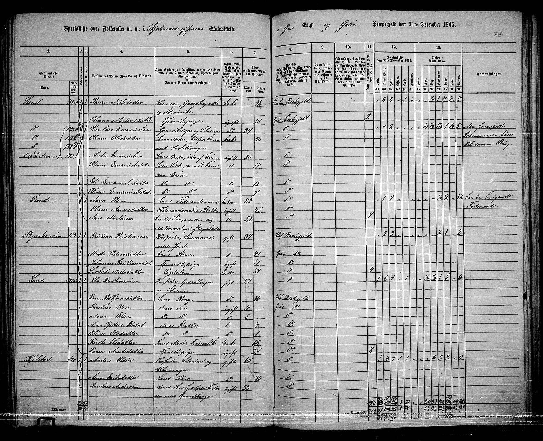 RA, 1865 census for Grue, 1865, p. 235