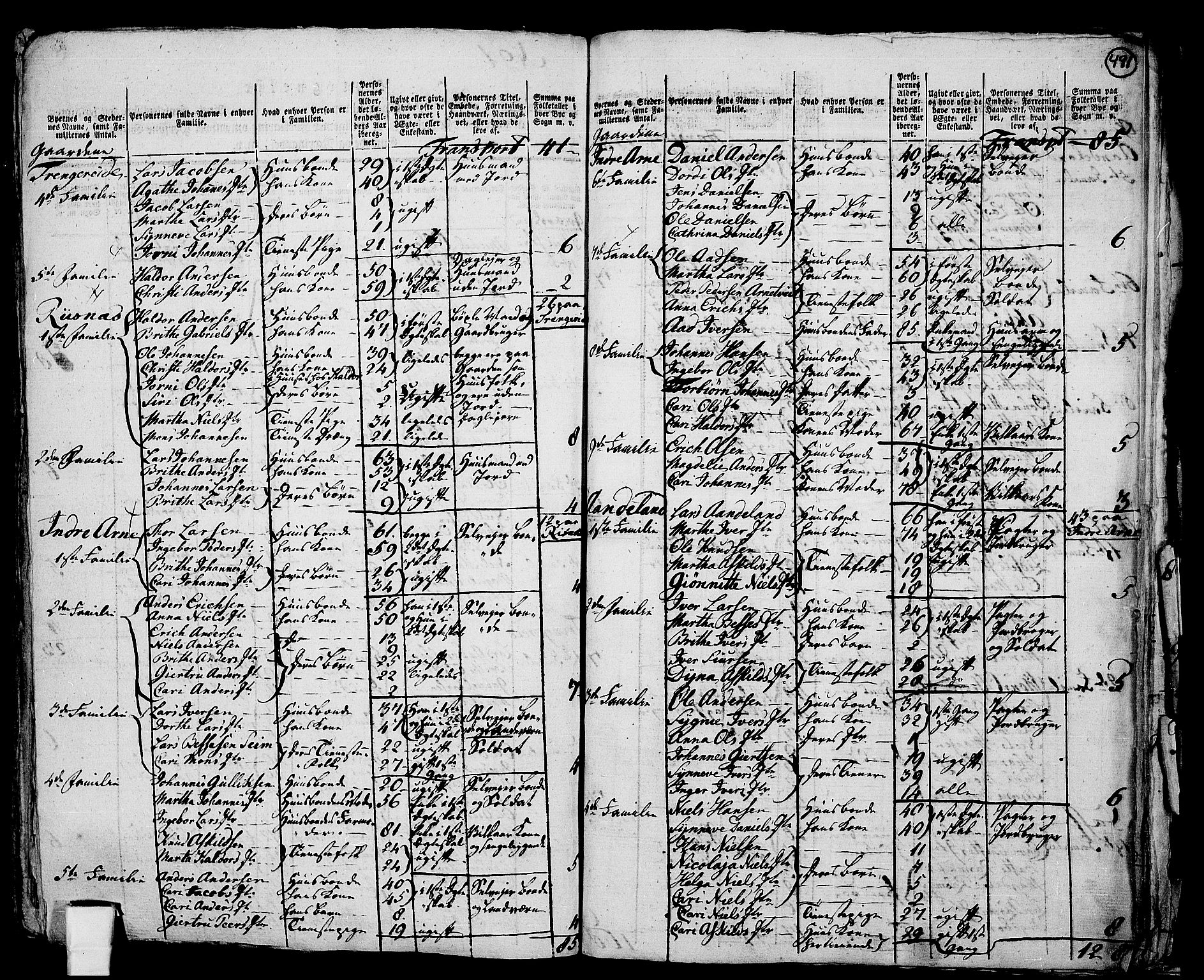 RA, 1801 census for 1250P Haus, 1801, p. 490b-491a