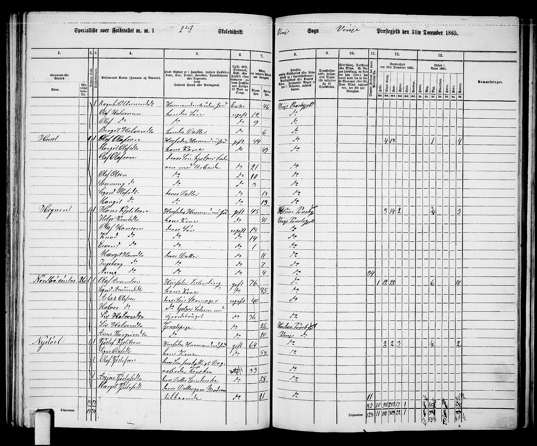 RA, 1865 census for Vinje, 1865, p. 20