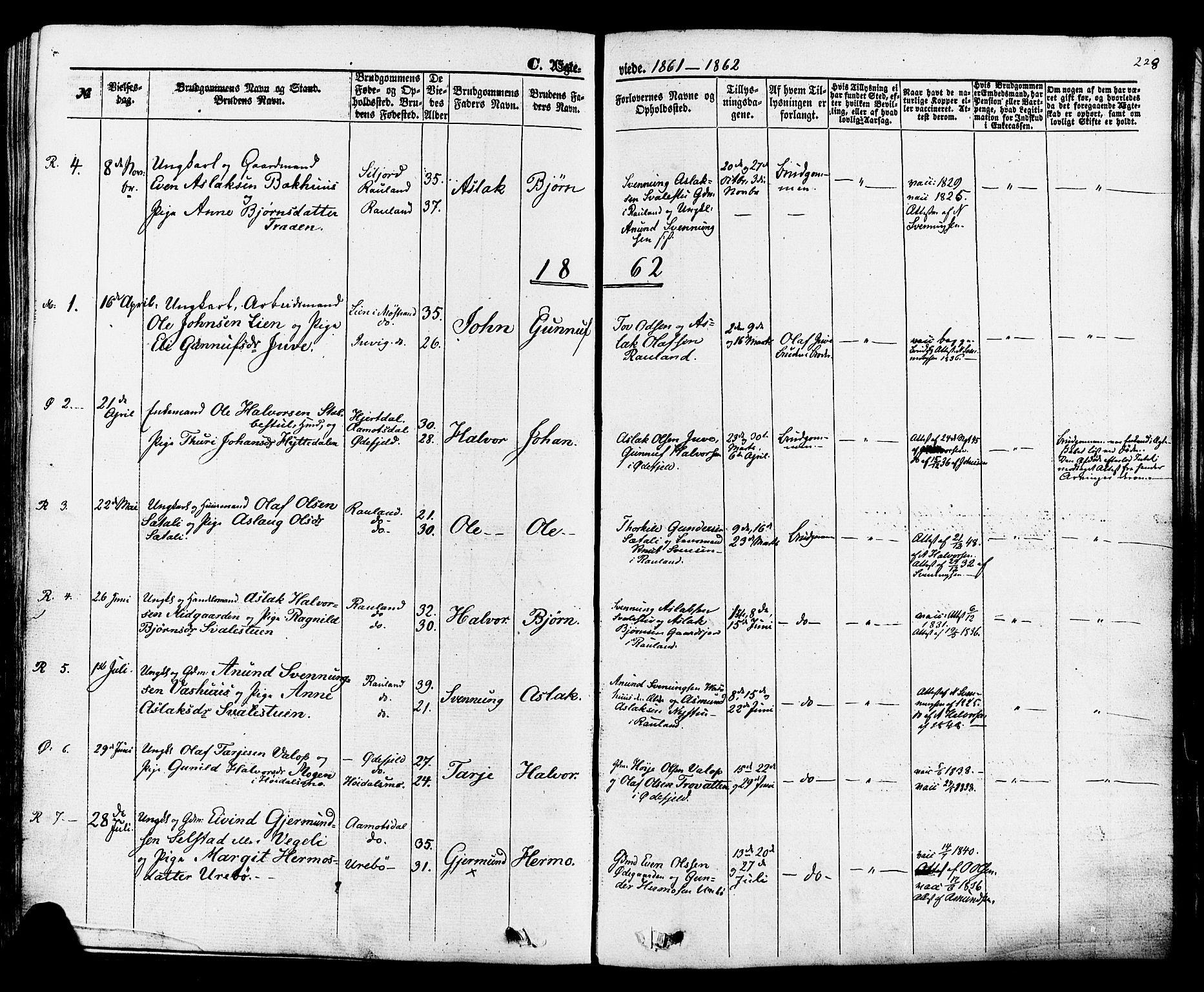 Rauland kirkebøker, SAKO/A-292/F/Fa/L0003: Parish register (official) no. 3, 1859-1886, p. 228