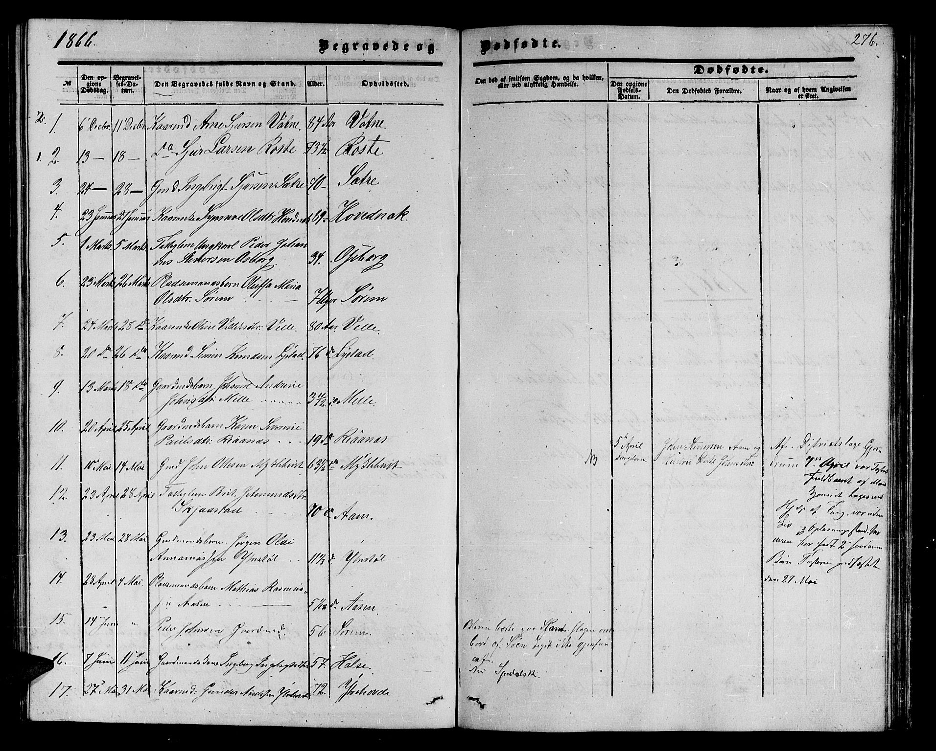 Ministerialprotokoller, klokkerbøker og fødselsregistre - Møre og Romsdal, AV/SAT-A-1454/513/L0188: Parish register (copy) no. 513C02, 1865-1882, p. 276