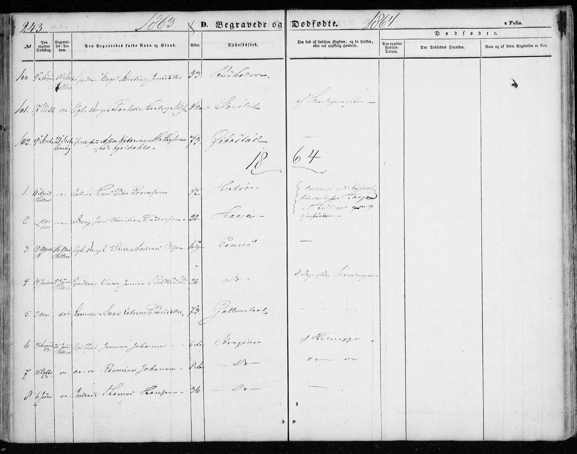 Lenvik sokneprestembete, SATØ/S-1310/H/Ha/Haa/L0007kirke: Parish register (official) no. 7, 1855-1865, p. 243