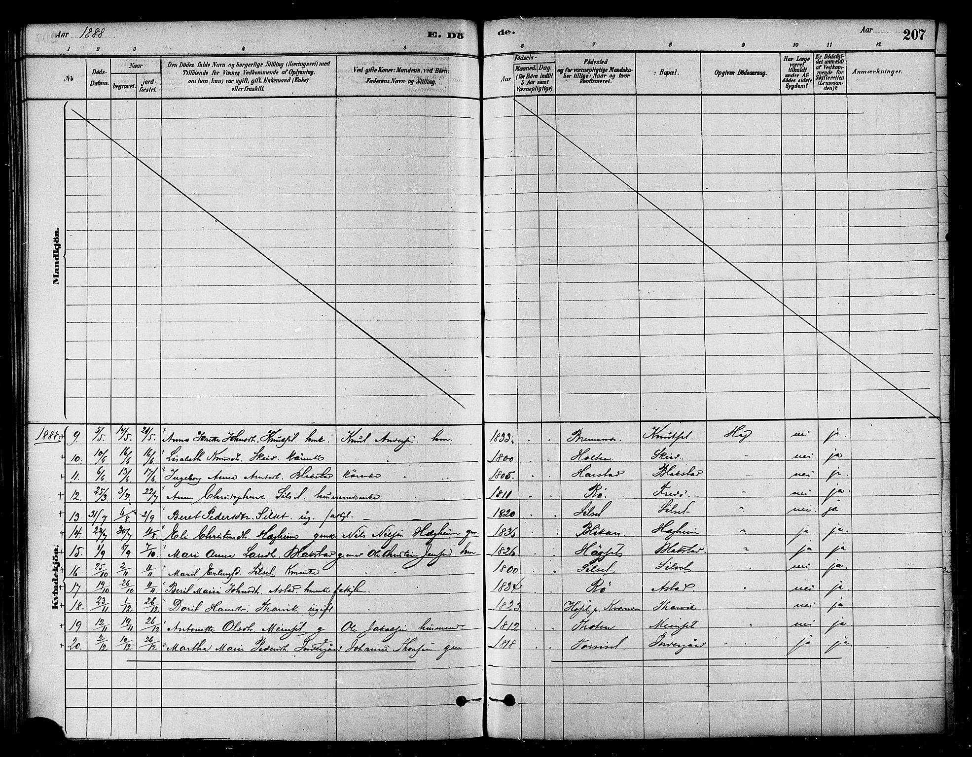 Ministerialprotokoller, klokkerbøker og fødselsregistre - Møre og Romsdal, AV/SAT-A-1454/584/L0967: Parish register (official) no. 584A07, 1879-1894, p. 207